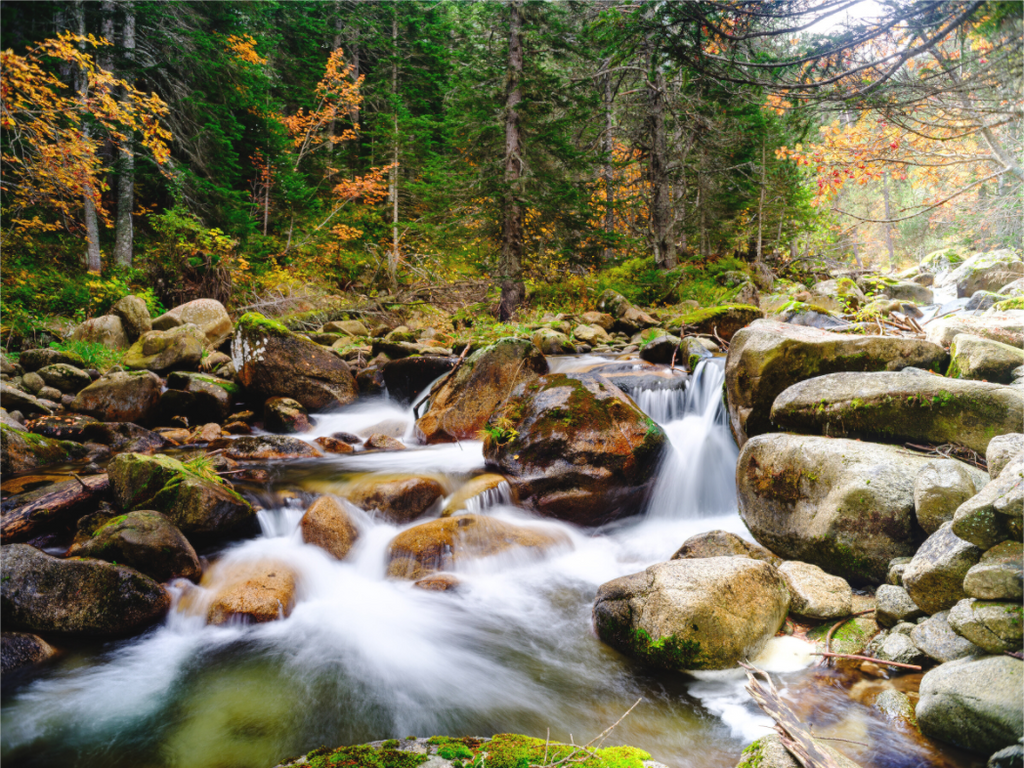 Main image Il en faut peu pour être heureux