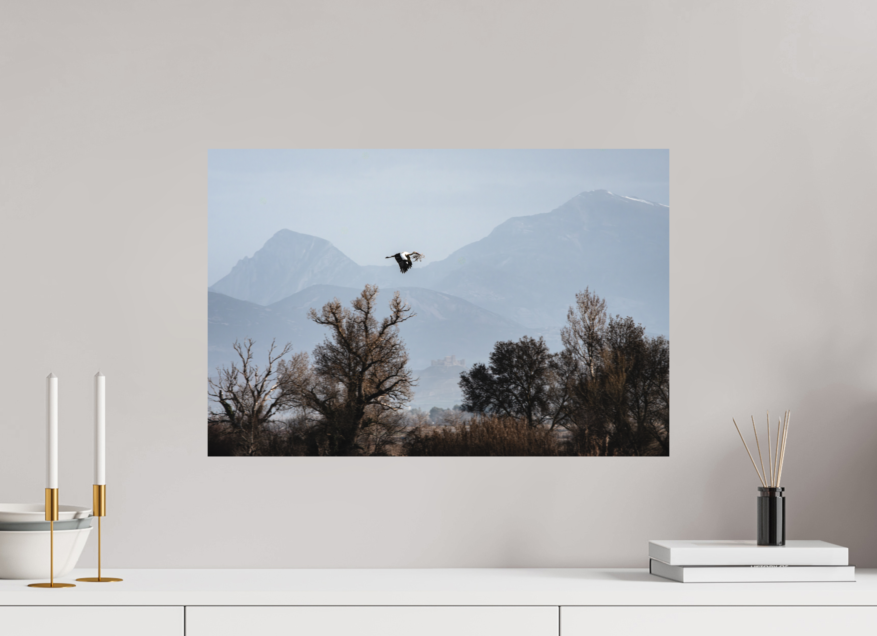 60 x 40 cm, Tirage photo - satiné Grues V