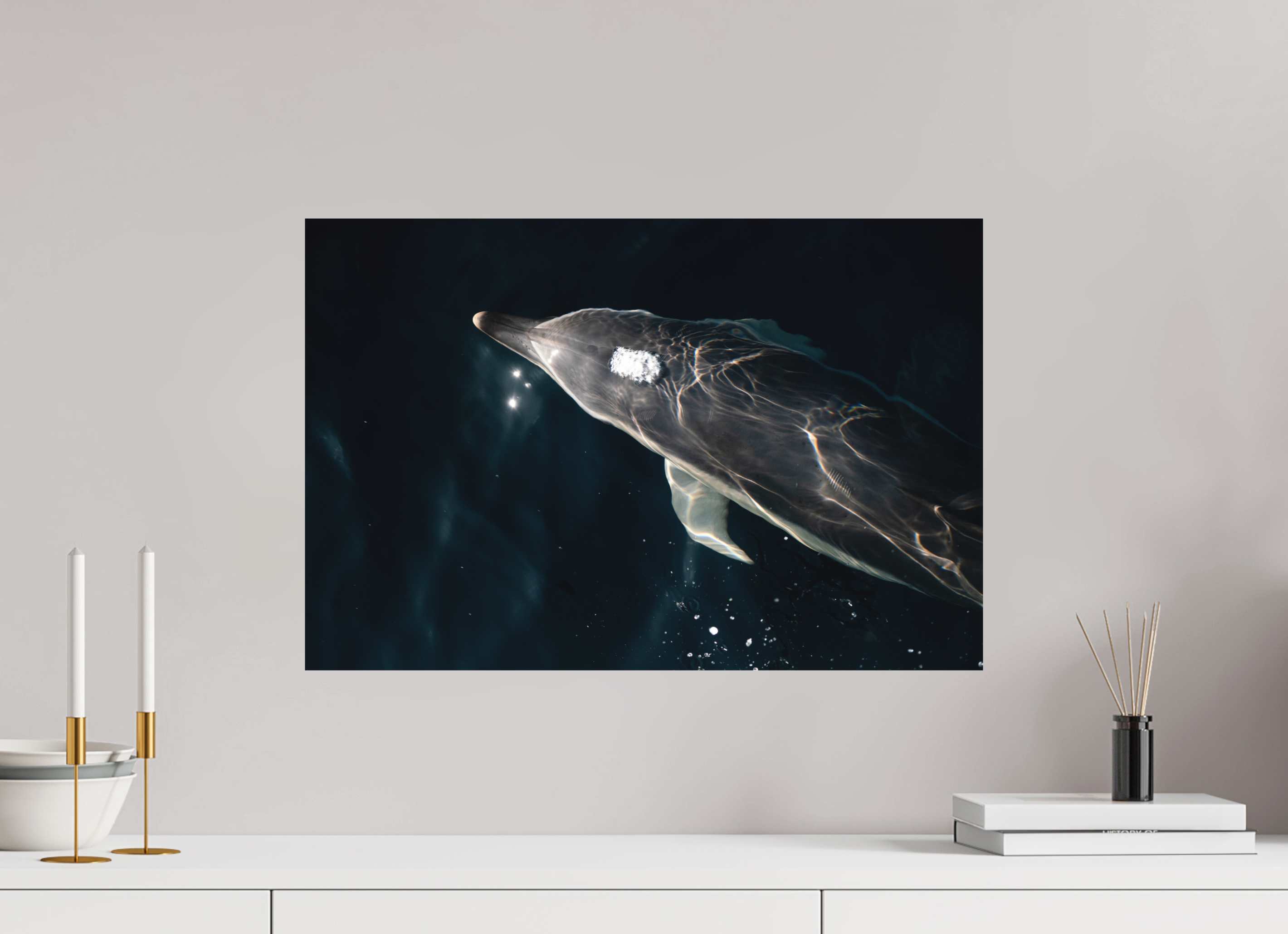 60 x 40 cm, Tirage photo - satiné Dauphin joueur