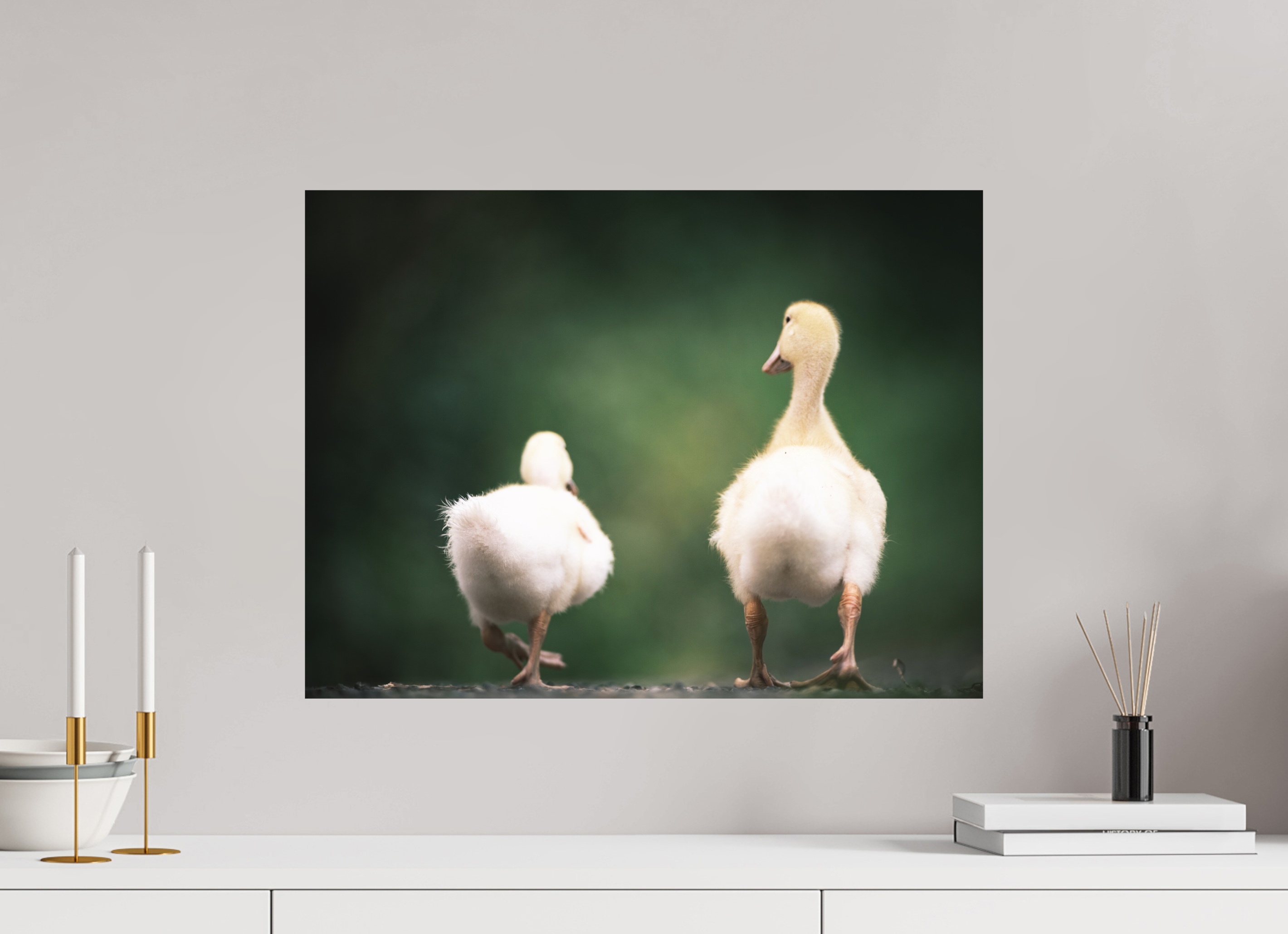 60 x 45 cm, Tirage photo - satiné Canards I