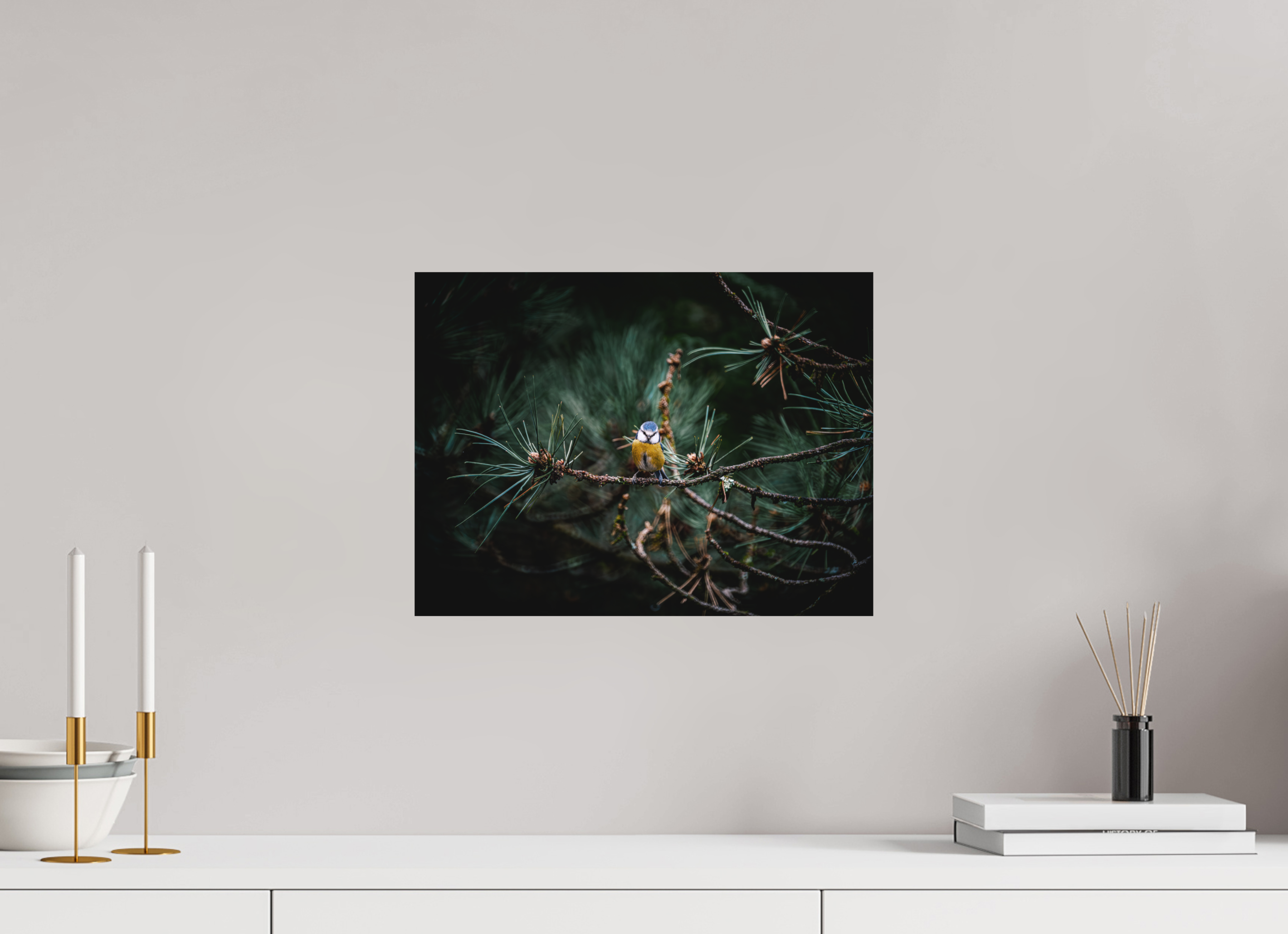 40 x 30 cm, Impression Fine Art sur support rigide - mat Mésange II