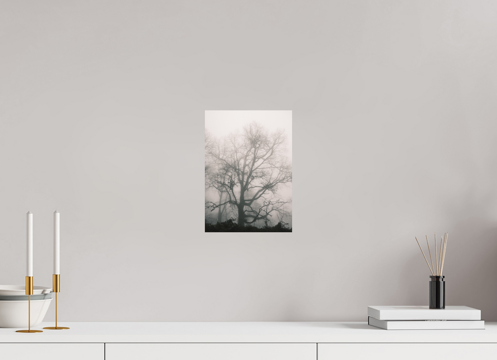 20 x 28 cm, Tirage photo - satiné Hêtre