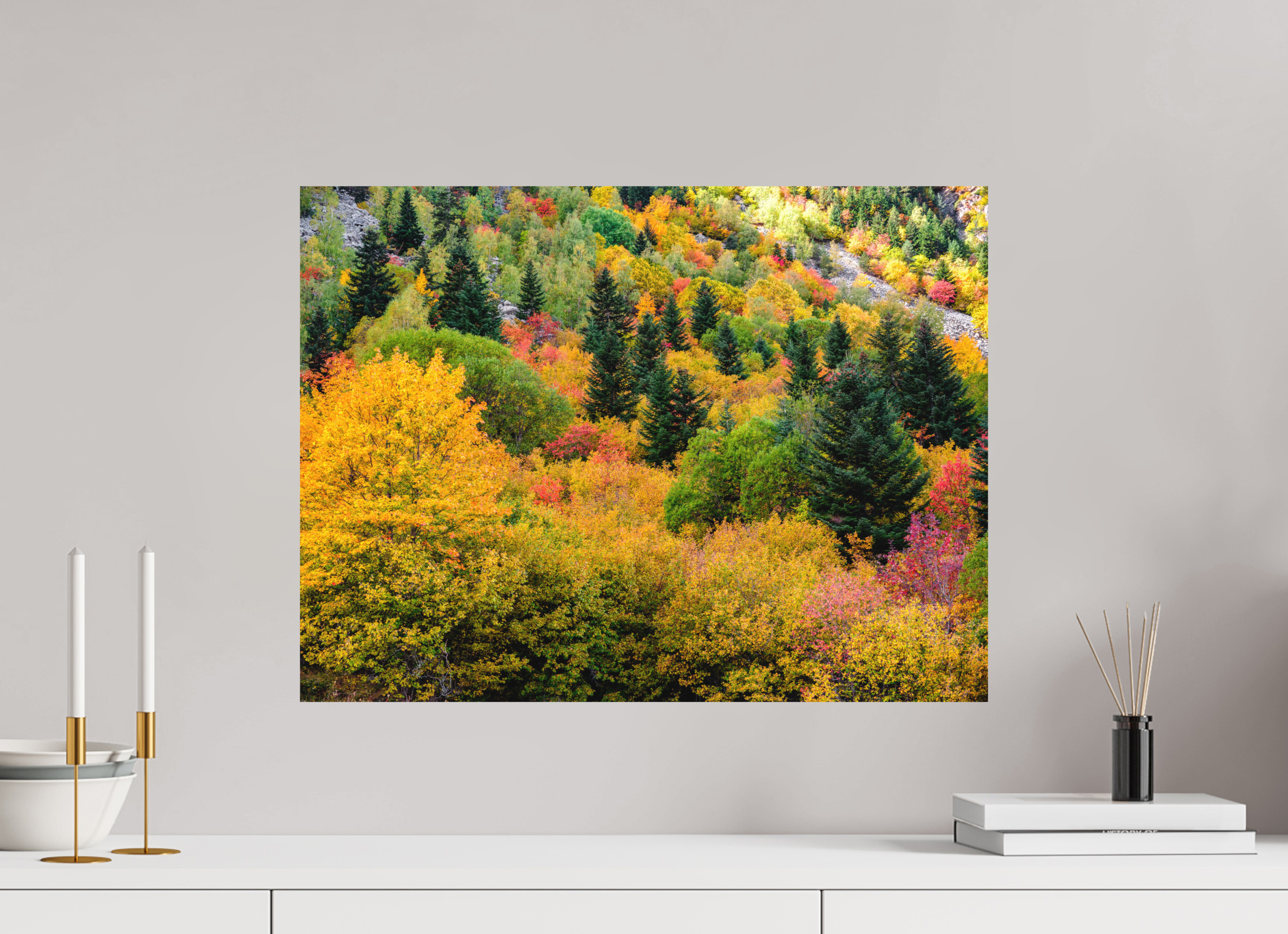 60 x 45 cm, Impression Fine Art sur support rigide - mat Forêt de couleurs