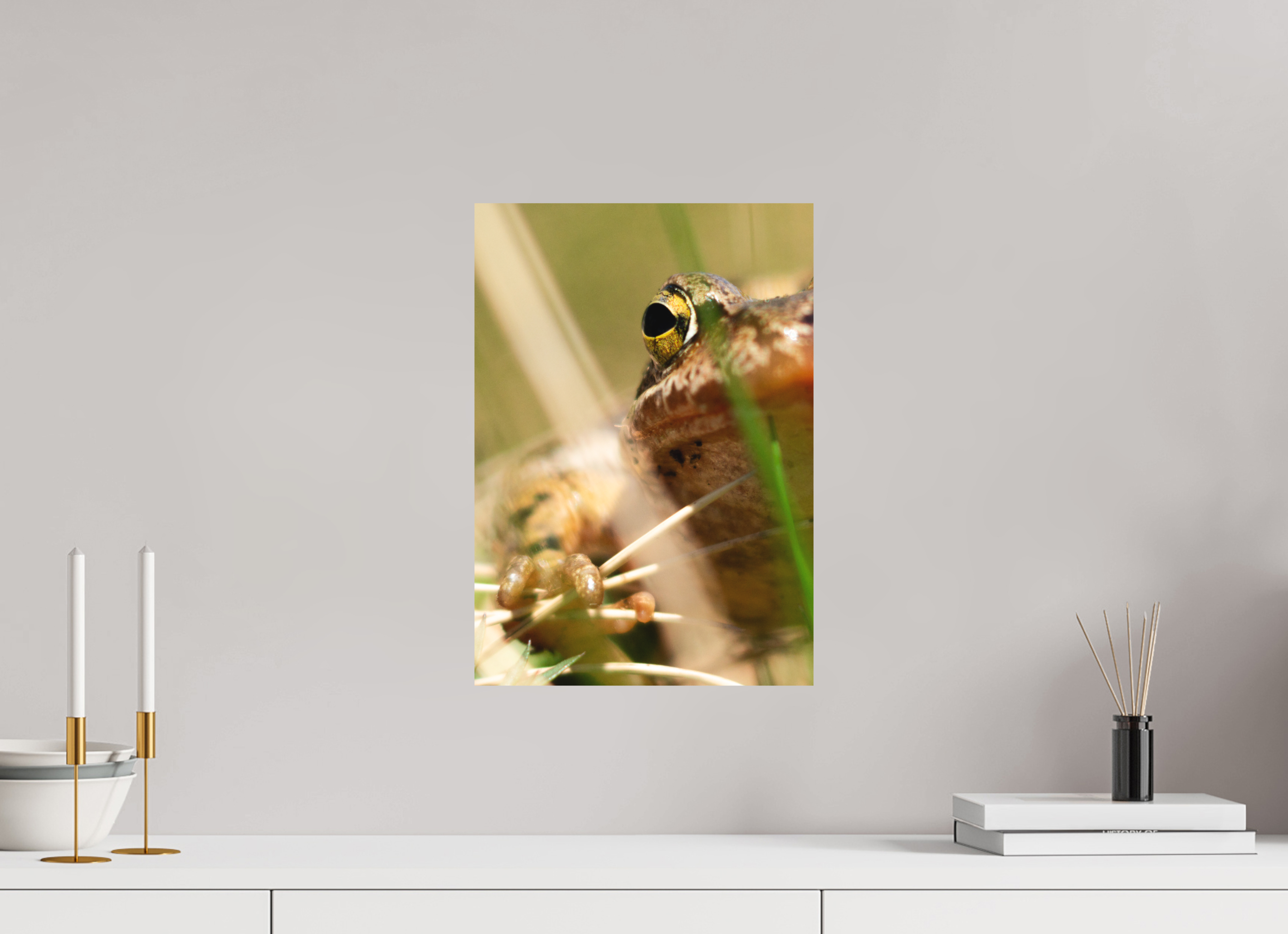 30 x 42,7 cm, Impression Fine Art - mat Grenouille Rousse