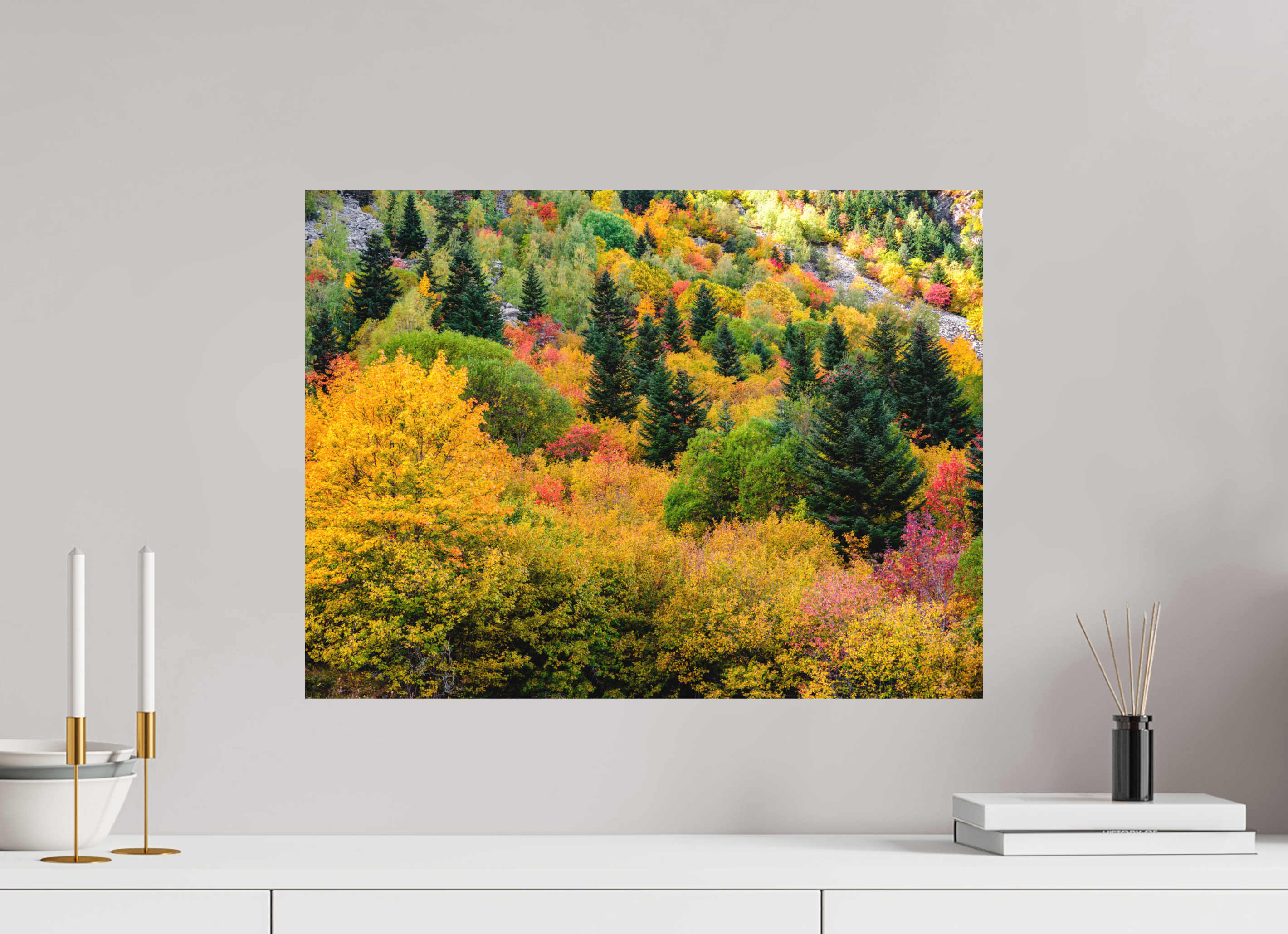 60 x 45 cm, Impression Fine Art - mat Forêt de couleurs