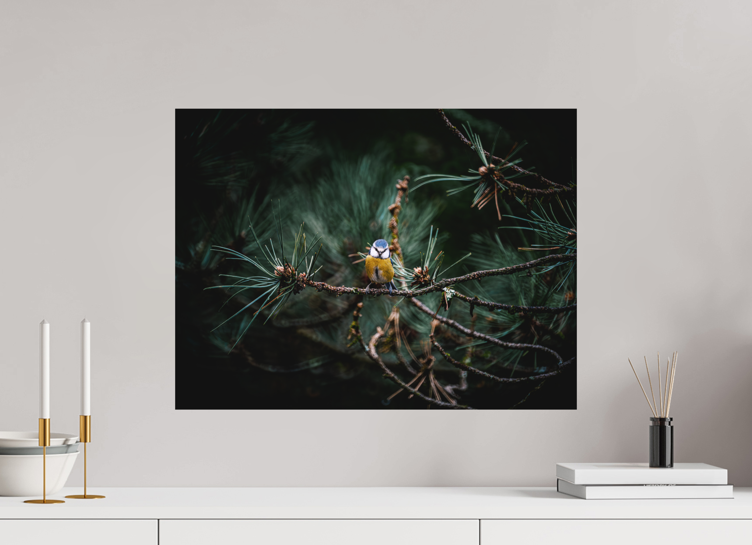 60 x 45 cm, Impression Fine Art sur support rigide - mat Mésange II