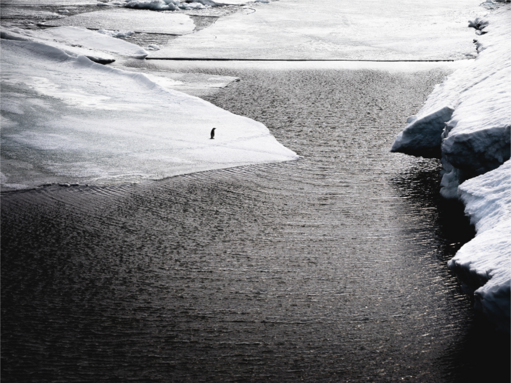 Main image Retour de pêche