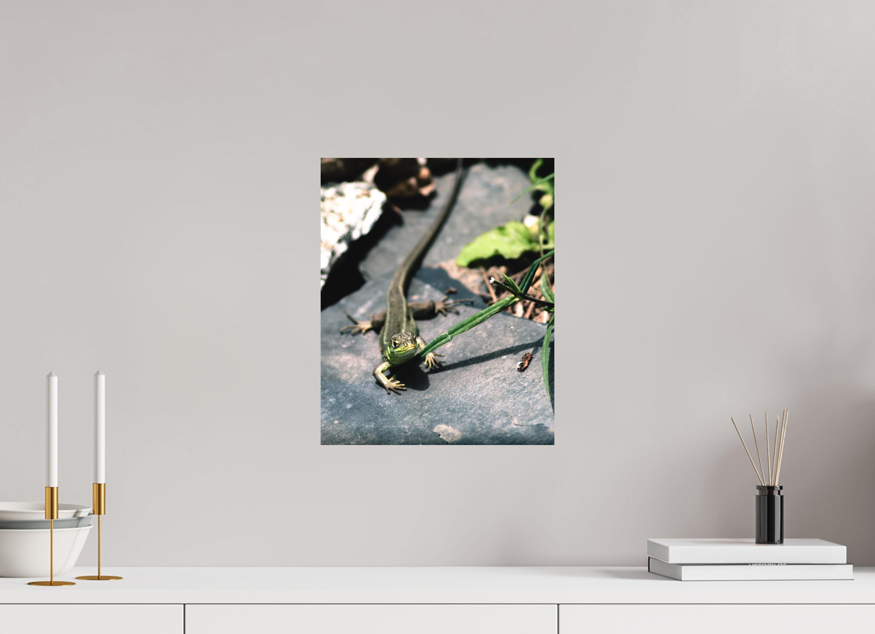 30 x 36,9 cm, Impression Fine Art sur support rigide - mat Lezard