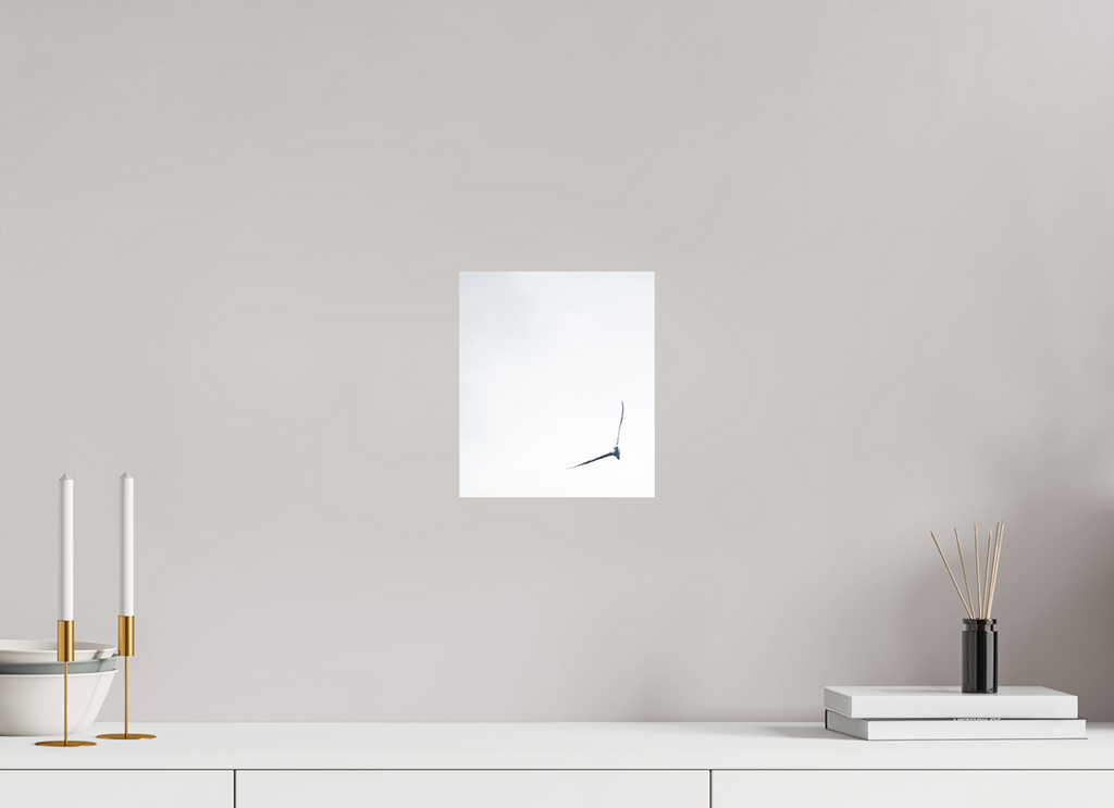 20 x 23,1 cm, Tirage photo - satiné fou de bassan