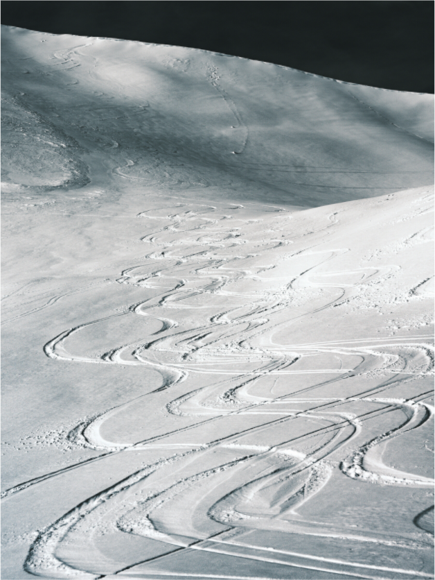 Main image Les traces du bonheur