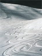 Main image Les traces du bonheur