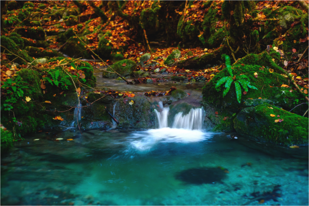 Main image De l'eau et des couleurs