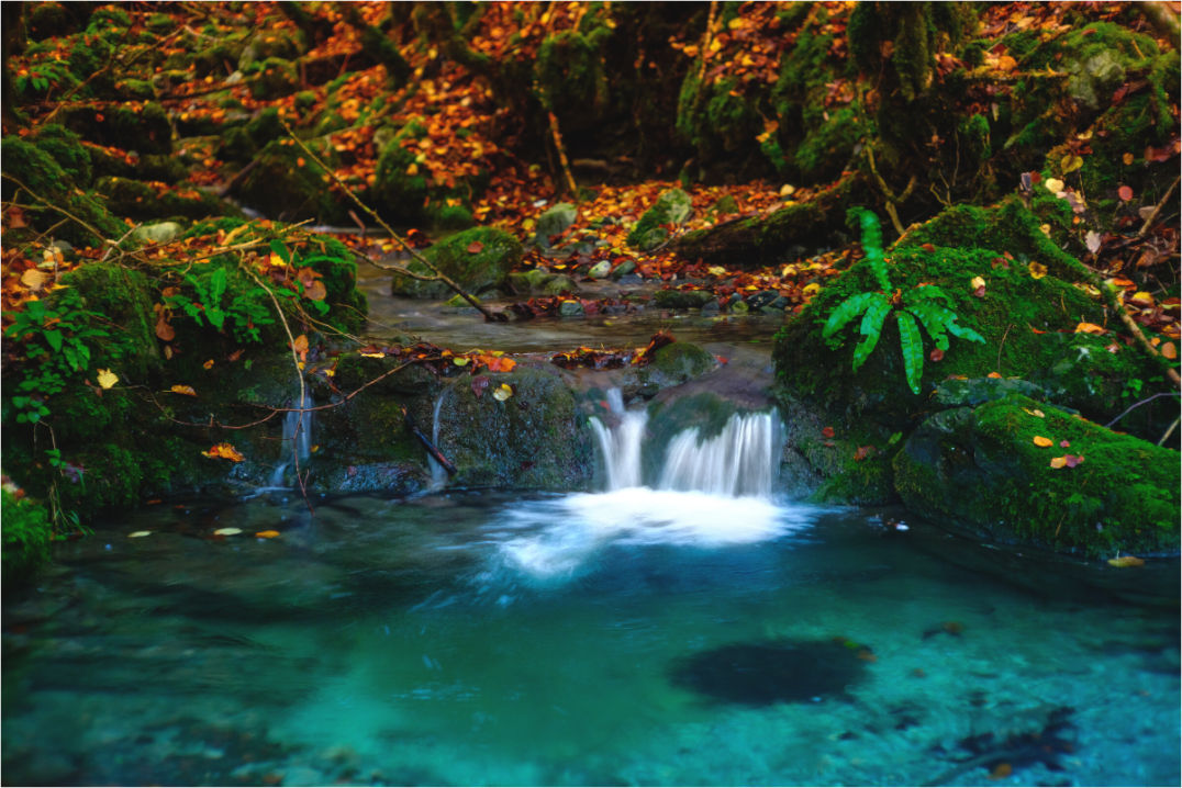 Main image De l'eau et des couleurs
