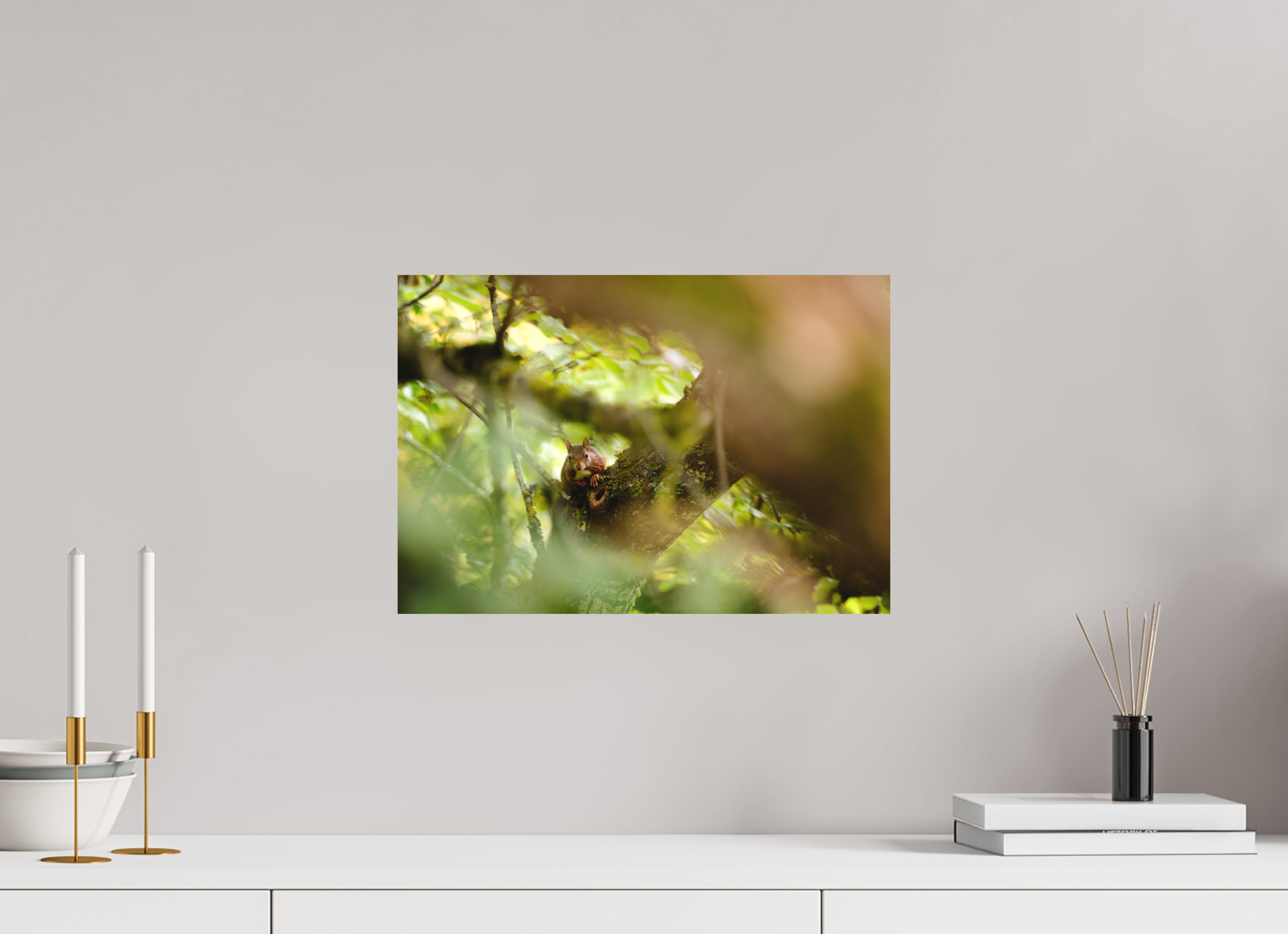 43,6 x 30 cm, Tirage photo - satiné écureuil