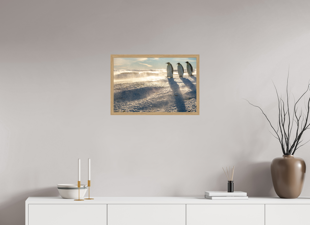 60 x 40 cm, Impression Fine Art encadrée en chêne naturel - mat La marche des Empereurs