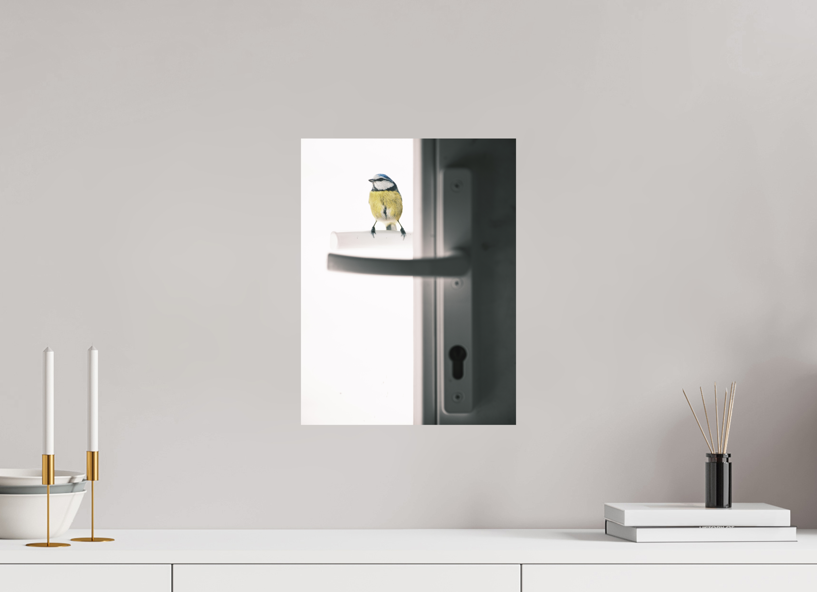 30 x 40 cm, Impression Fine Art - mat mésange bleue