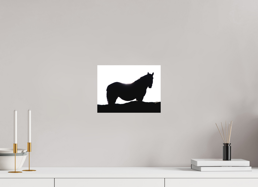 28 x 21 cm, Tirage photo - satiné Cheval