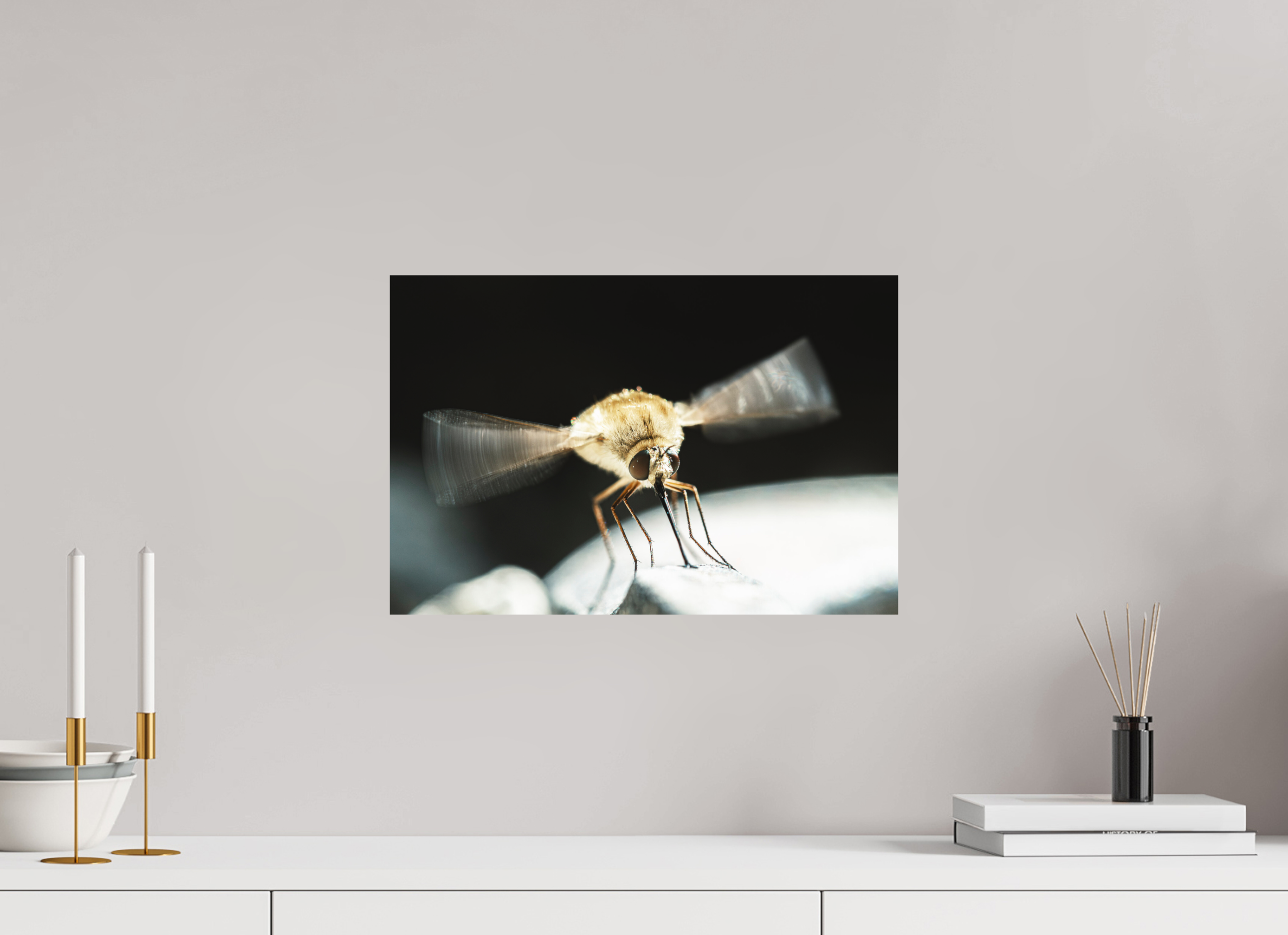 45 x 30 cm, Impression Fine Art - mat Bombylius