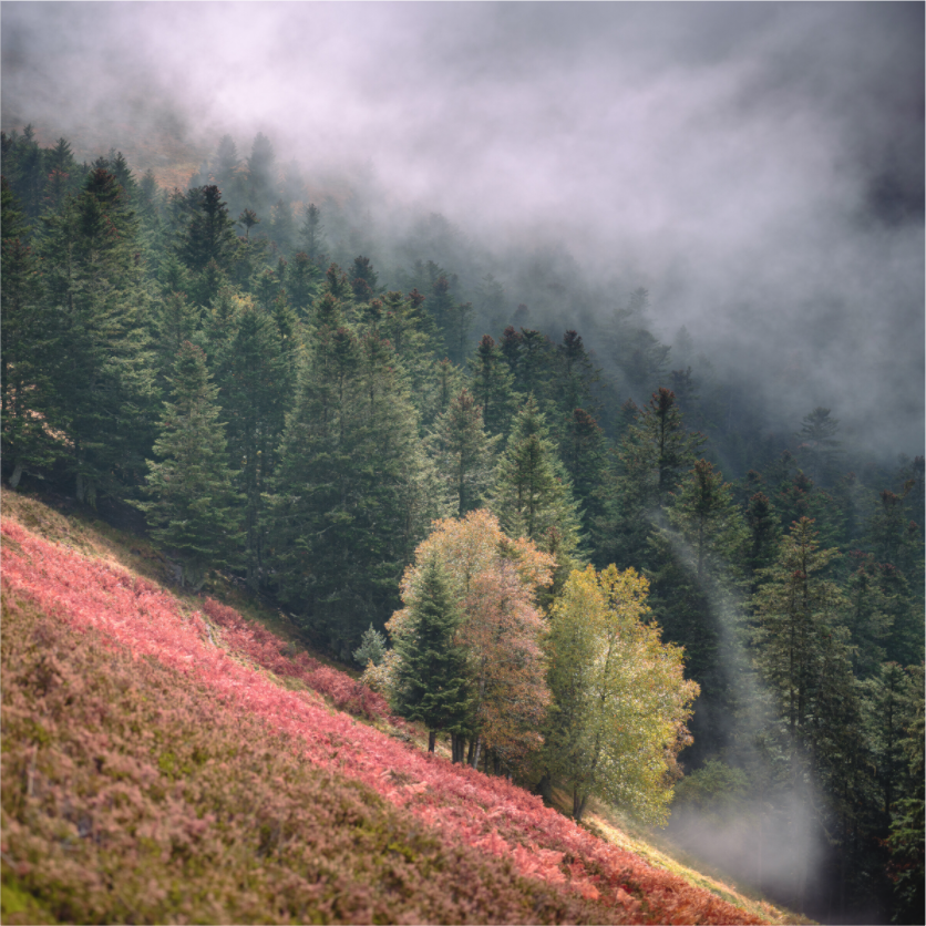 Main image Brume du soir