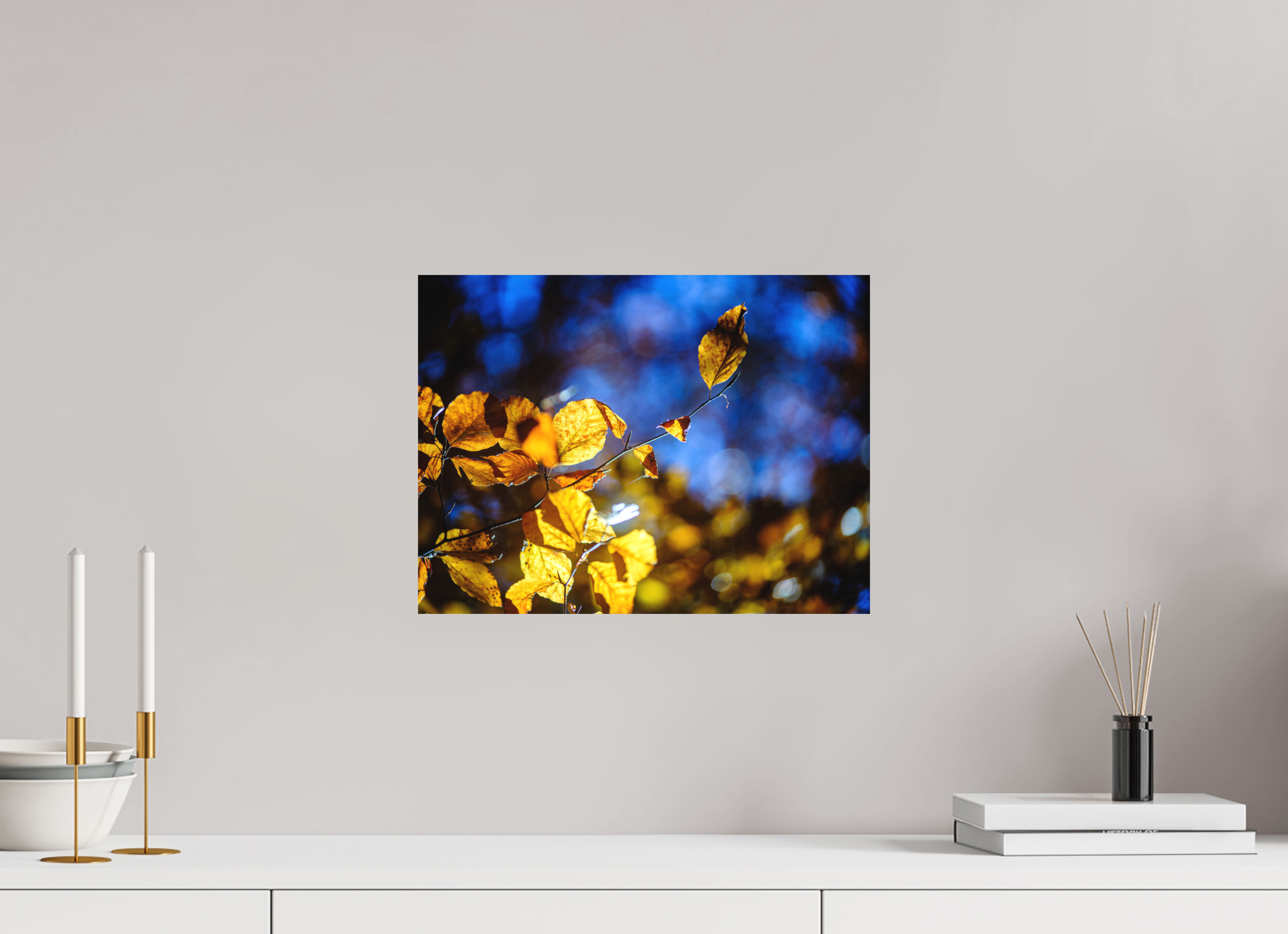 40 x 30 cm, Tirage photo - satiné La folie des couleurs II