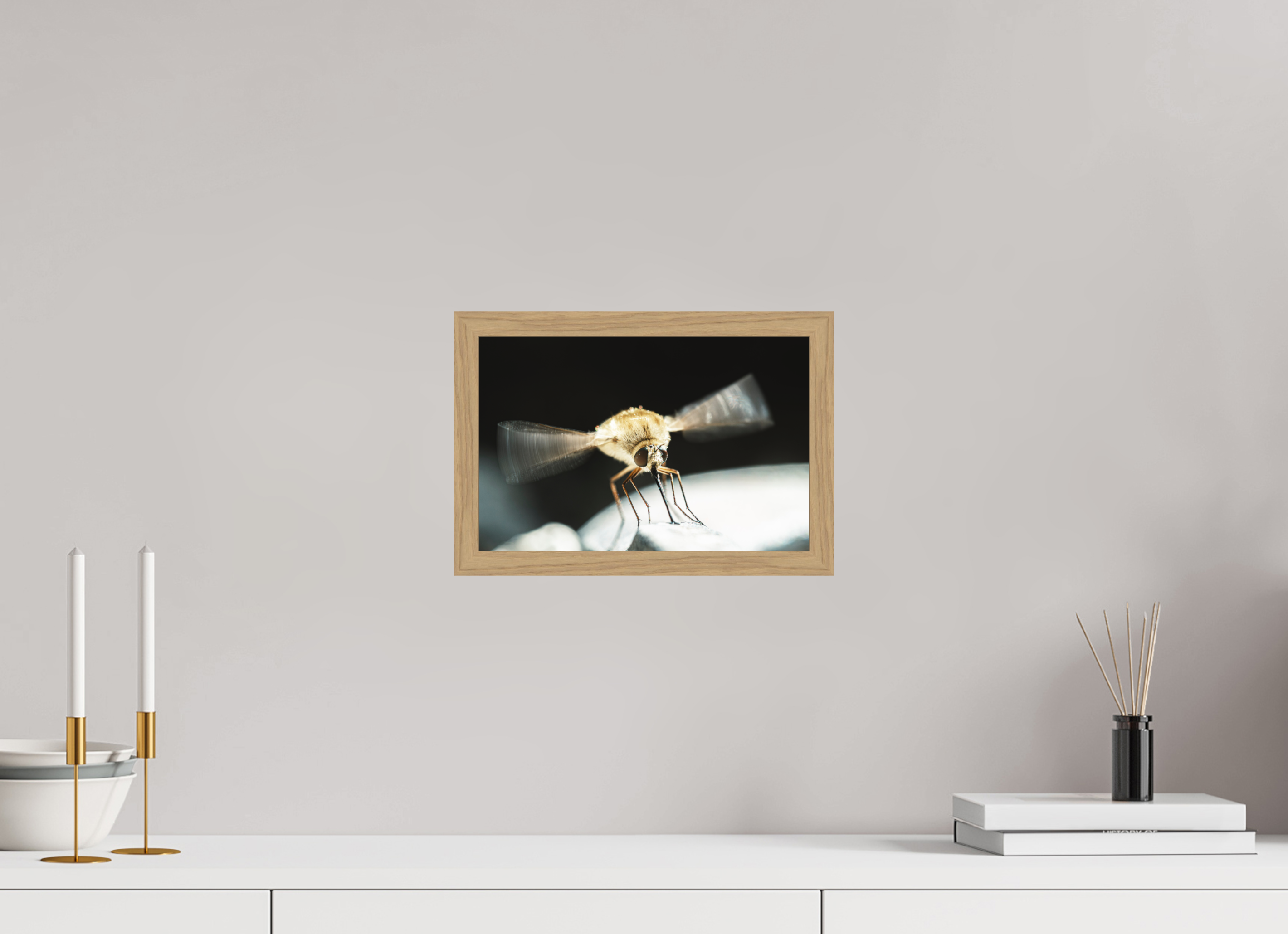 30 x 20 cm, Impression Fine Art encadrée en chêne naturel - mat Bombylius