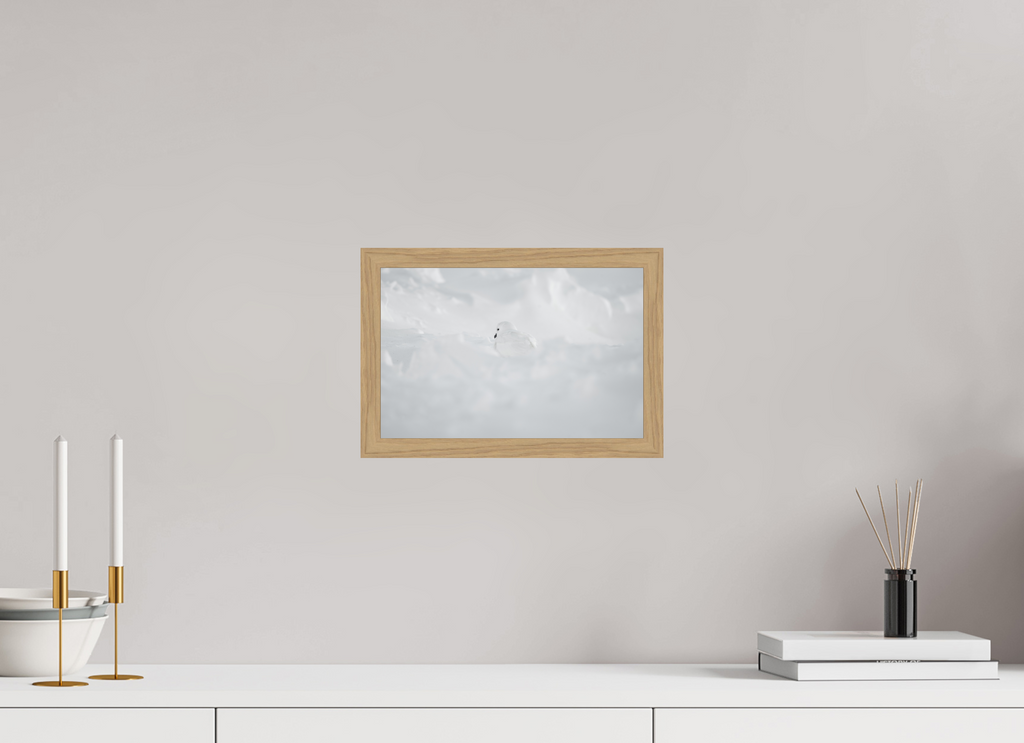 30 x 20 cm, Impression Fine Art encadrée en chêne naturel - mat Le Pétrel des Neiges