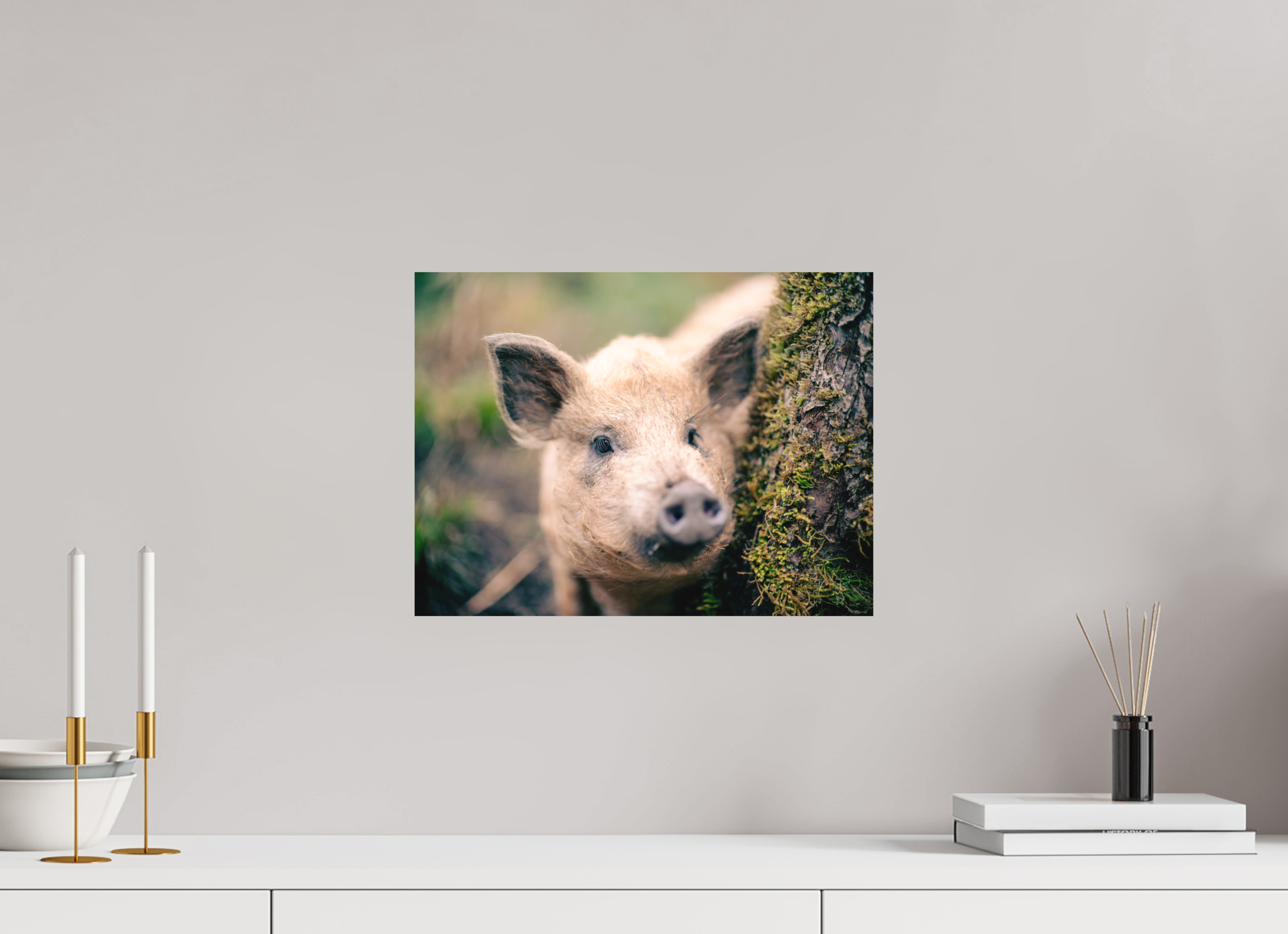 40 x 30 cm, Impression Fine Art sur support rigide - mat Cochon