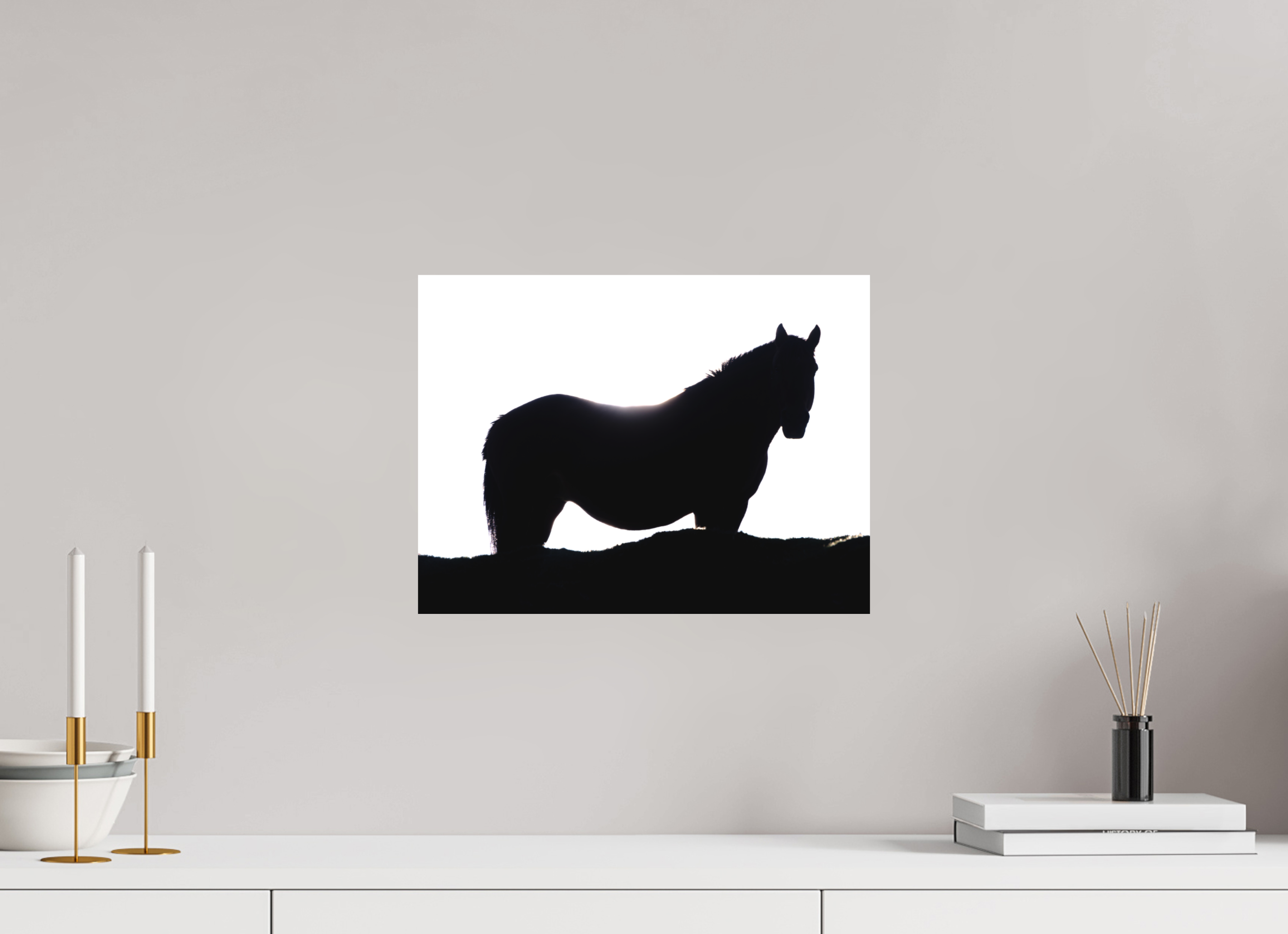 40 x 30 cm, Tirage photo - satiné Cheval