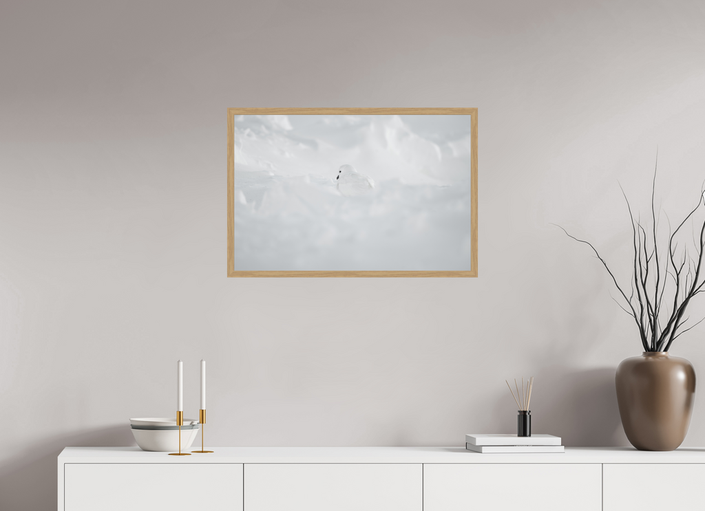 75 x 50 cm, Impression Fine Art encadrée en chêne naturel - mat Le Pétrel des Neiges