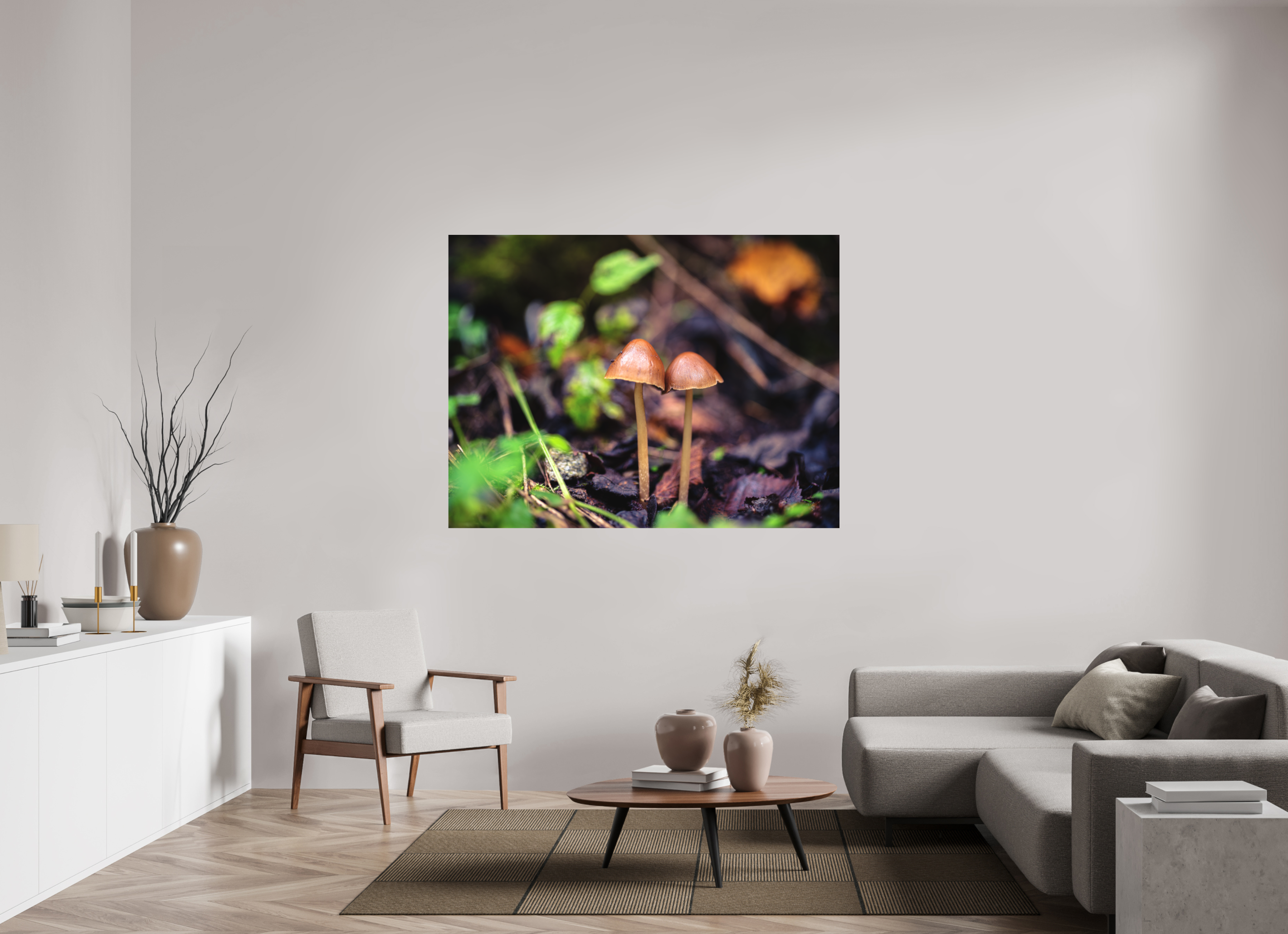 160 x 120 cm, Tirage photo - satiné Champignons