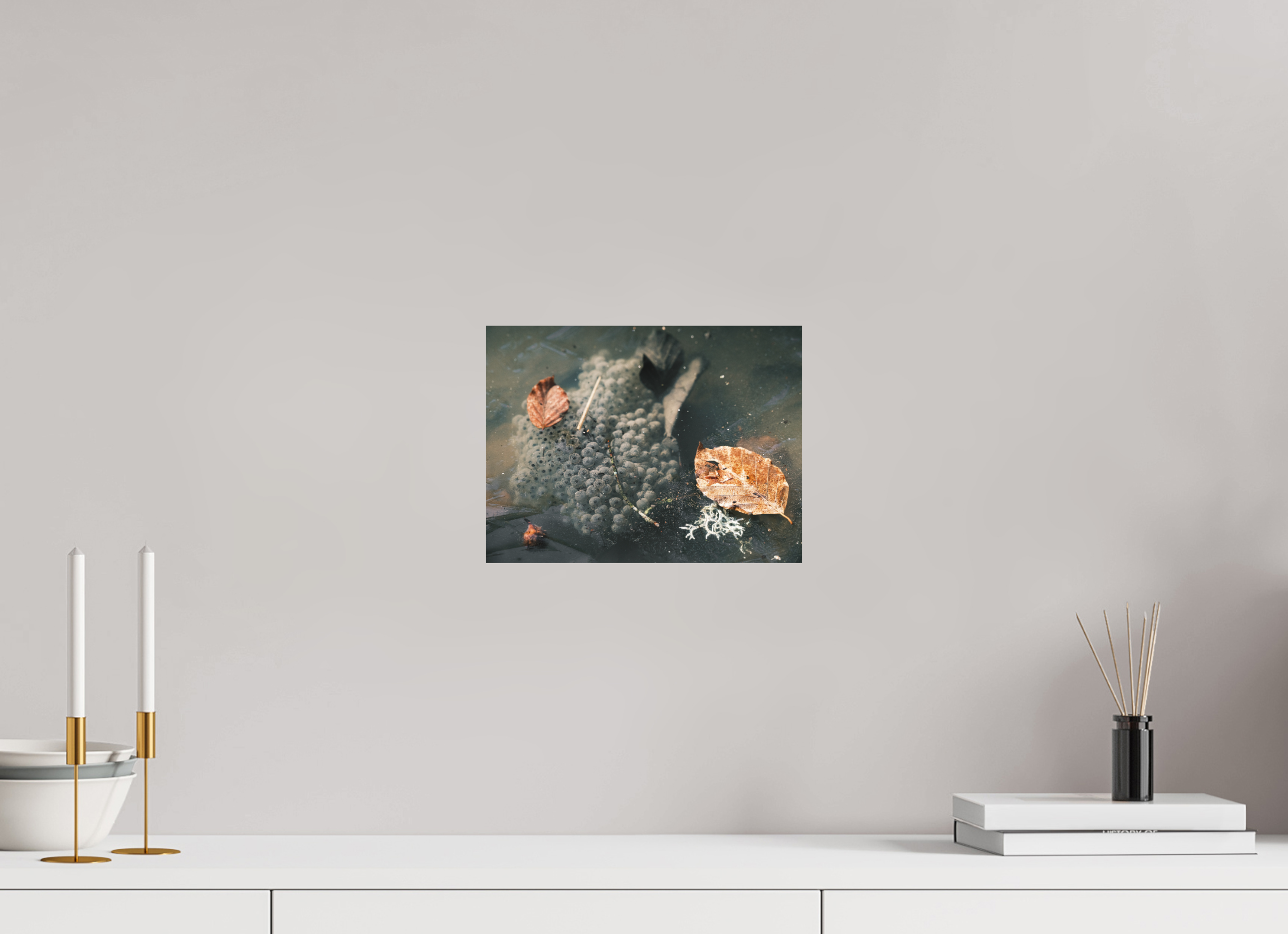 28 x 21 cm, Impression Fine Art - mat Oeufs