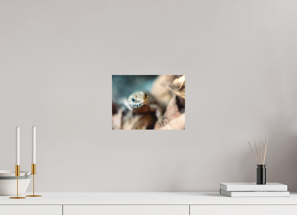 28 x 21 cm, Tirage photo - satiné Lezard