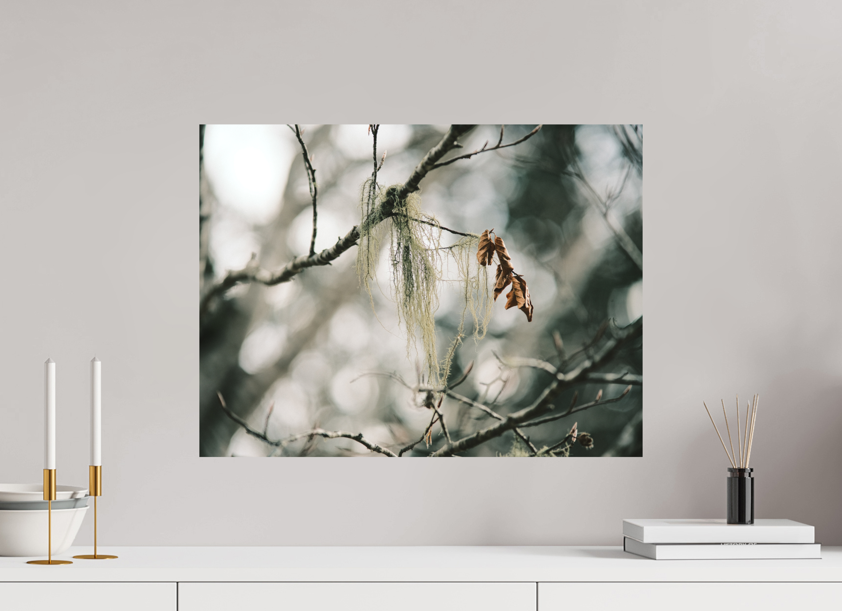 60 x 45 cm, Tirage photo - satiné En dormance