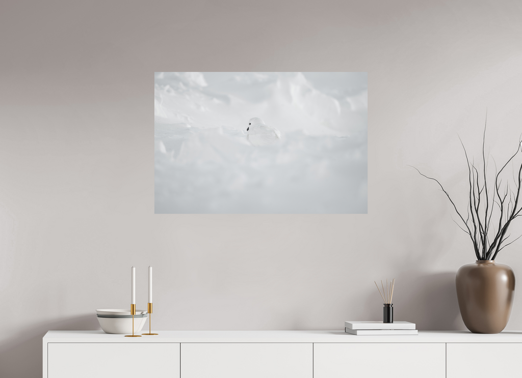 90 x 60 cm, Impression Fine Art sur support rigide - mat Le Pétrel des Neiges