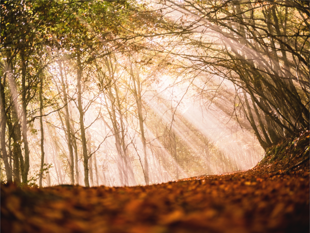 Main image Un rayon de soleil