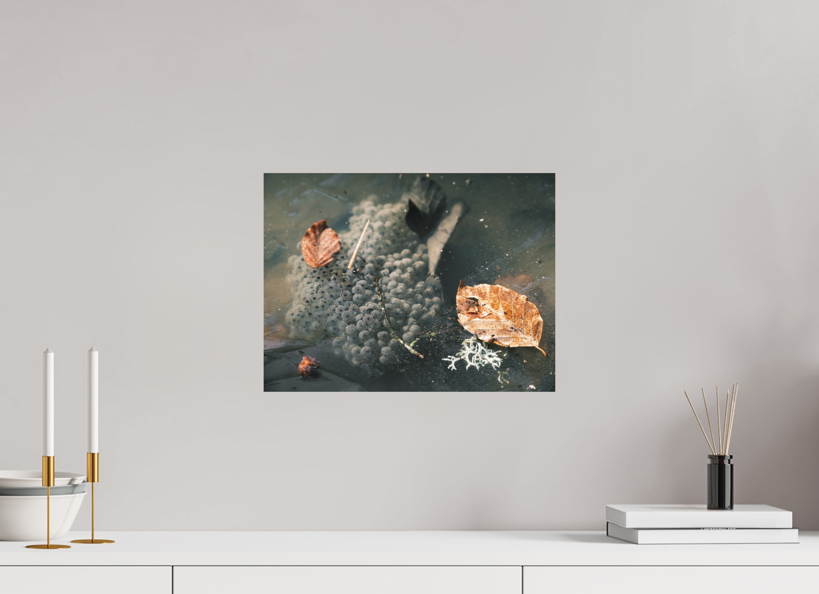 40 x 30 cm, Impression Fine Art sur support rigide - mat Oeufs