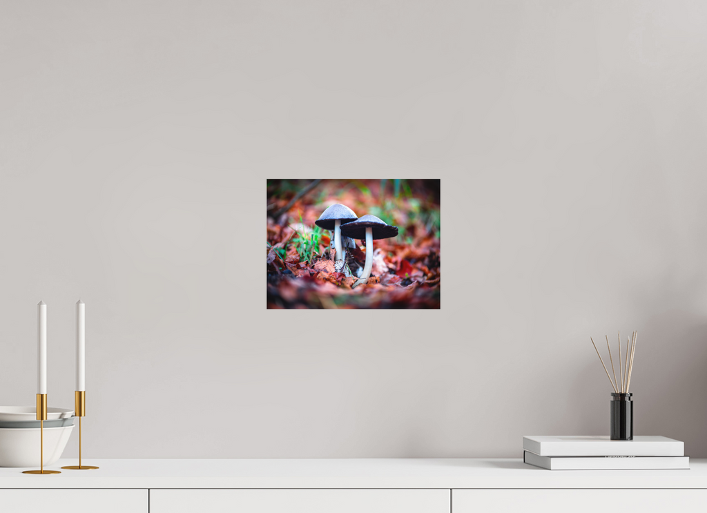 28 x 21 cm, Tirage photo - satiné En duo