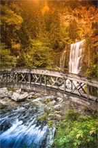 Main image L'automne en Chartreuse