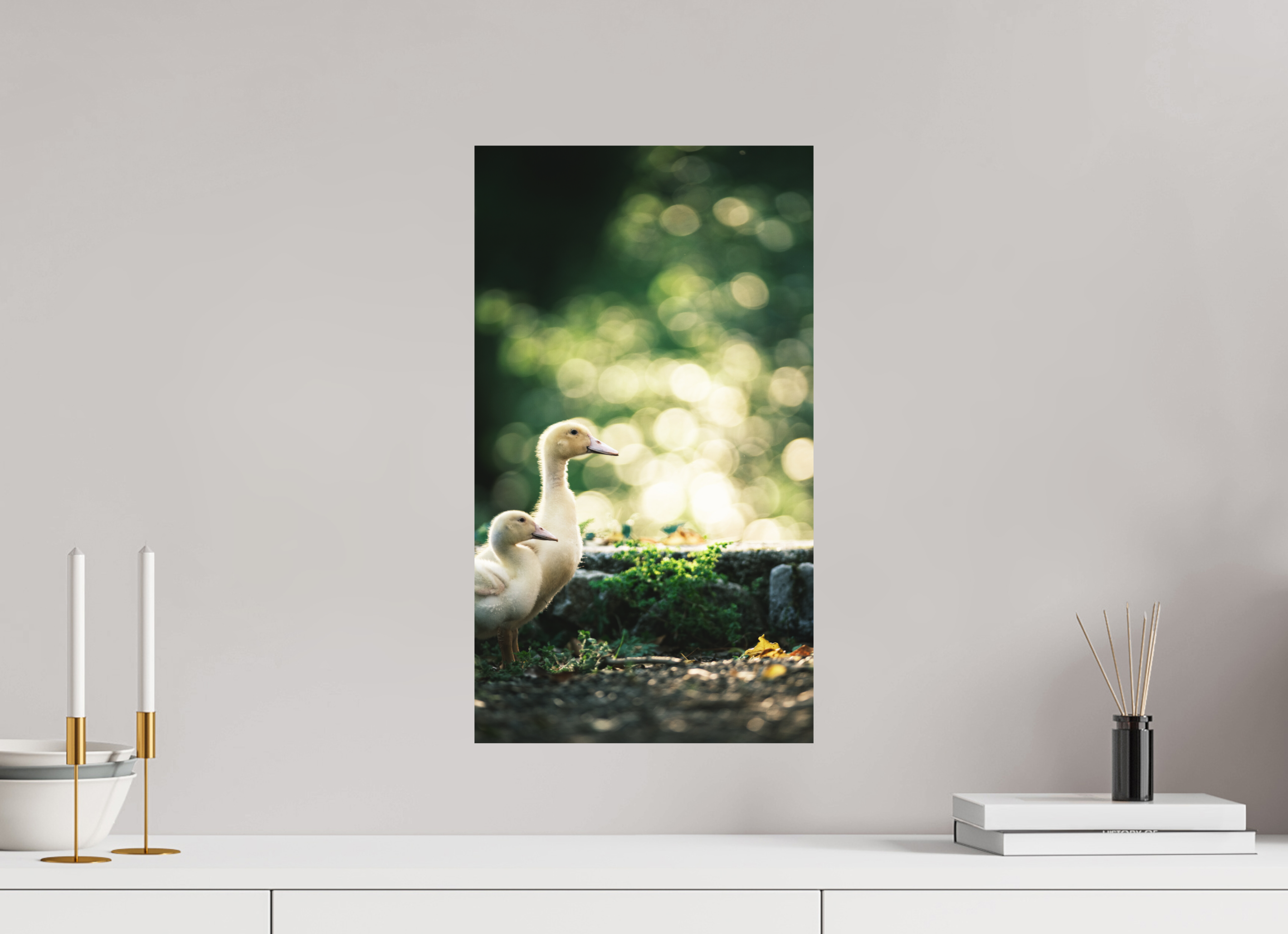 30 x 52,9 cm, Tirage photo - satiné Canards II