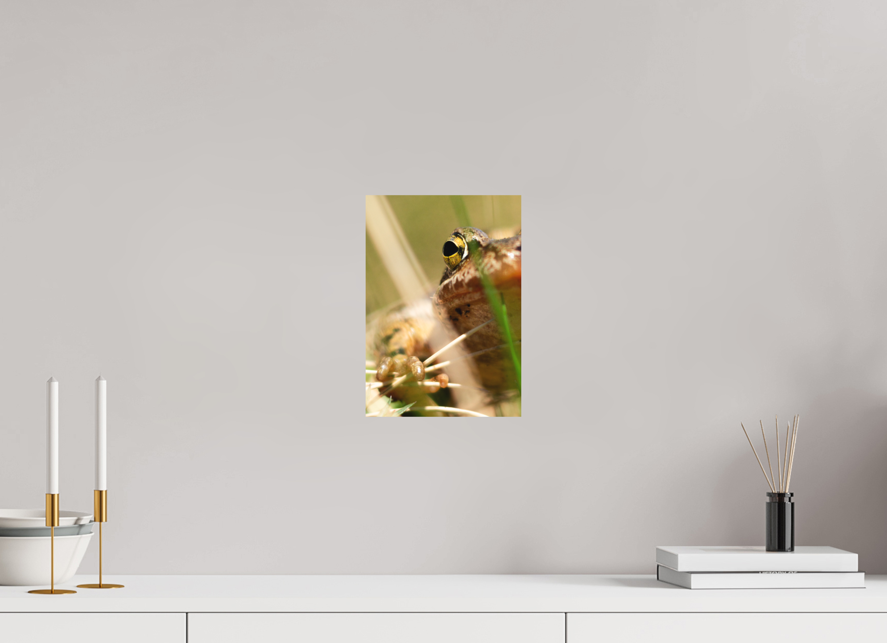 20 x 28,5 cm, Impression Fine Art - mat Grenouille Rousse