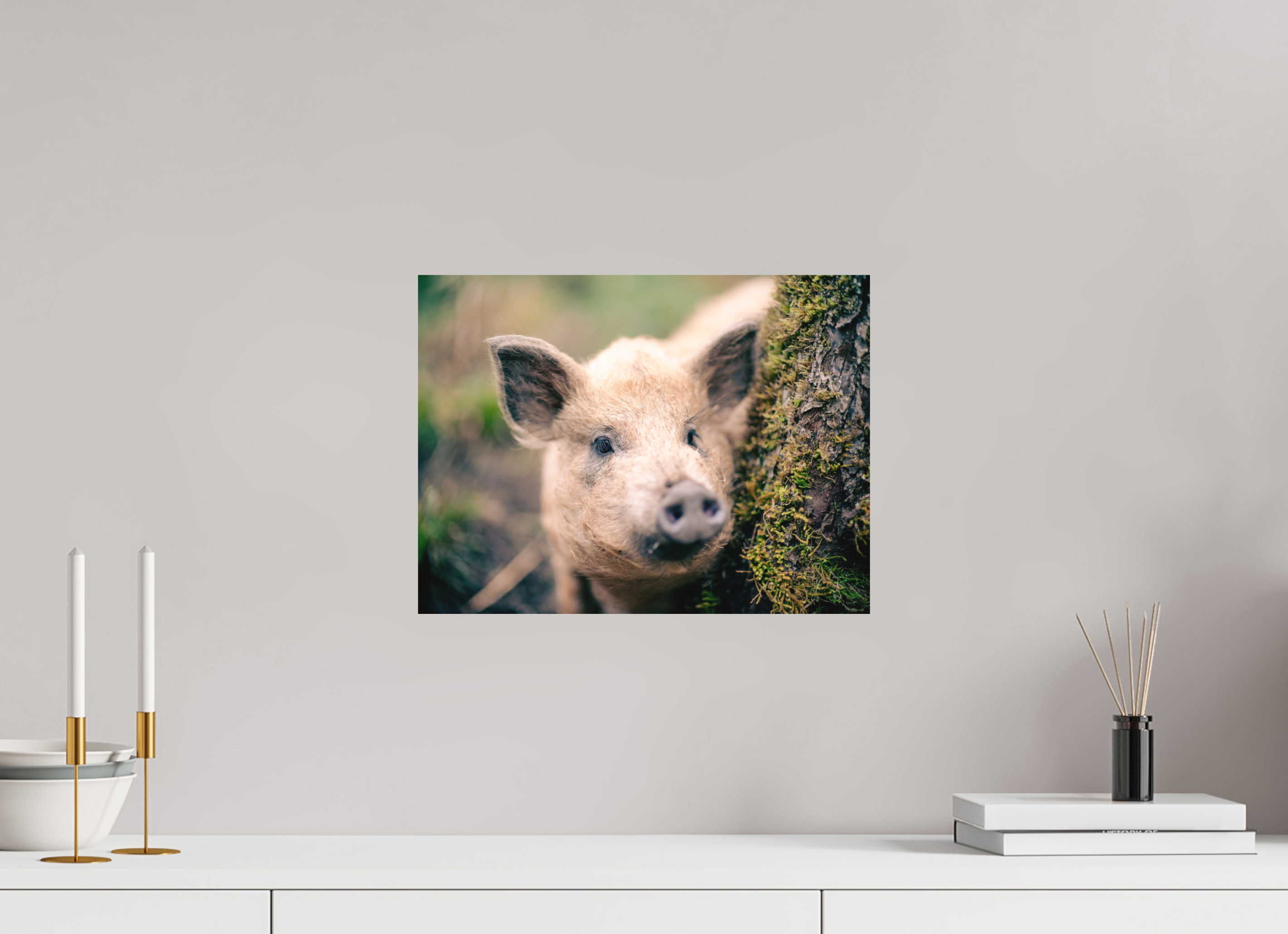 40 x 30 cm, Impression Fine Art - mat Cochon