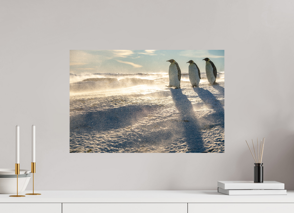 60 x 40 cm, Impression Fine Art - mat La marche des Empereurs