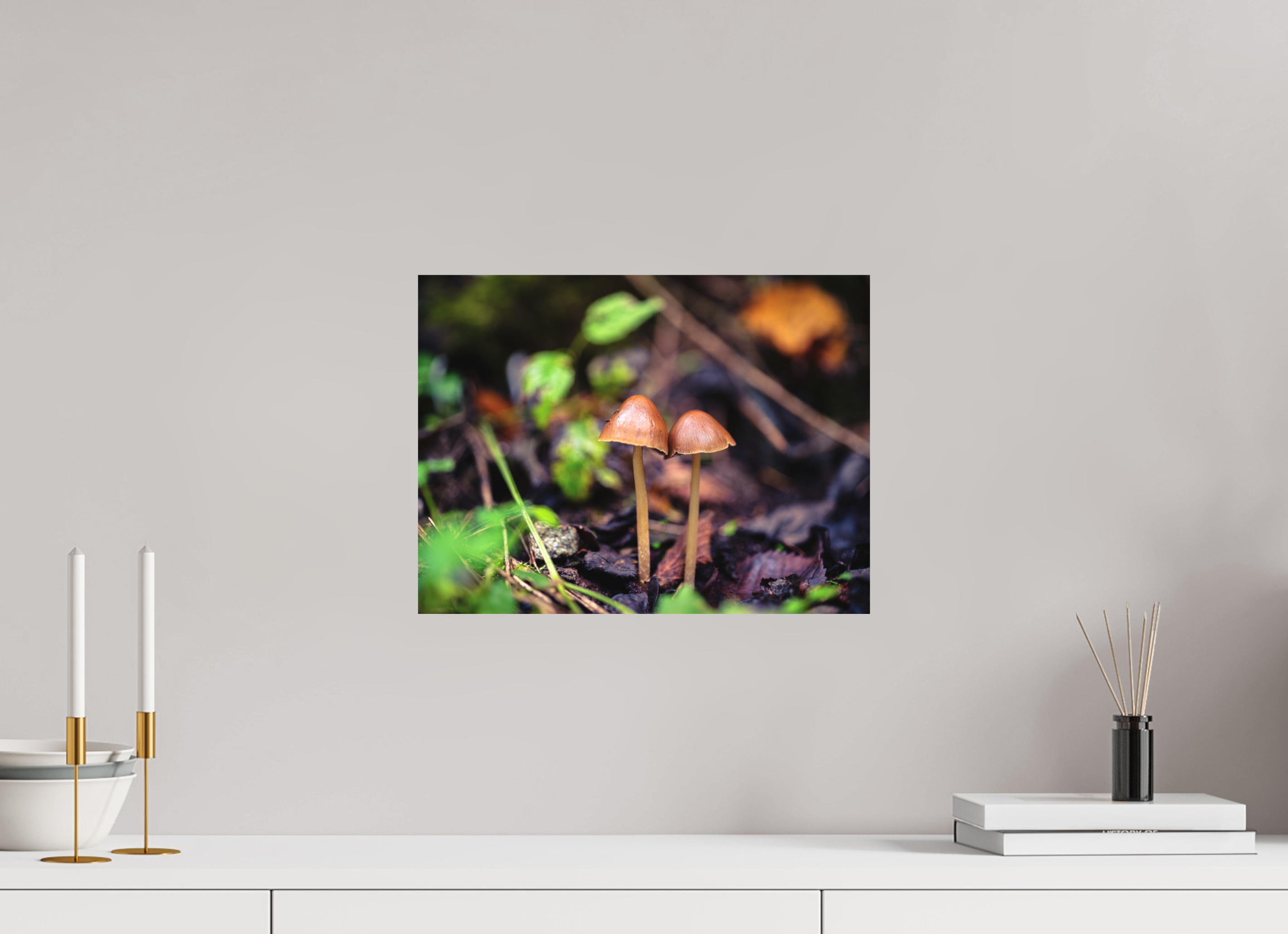 40 x 30 cm, Impression Fine Art - mat Champignons
