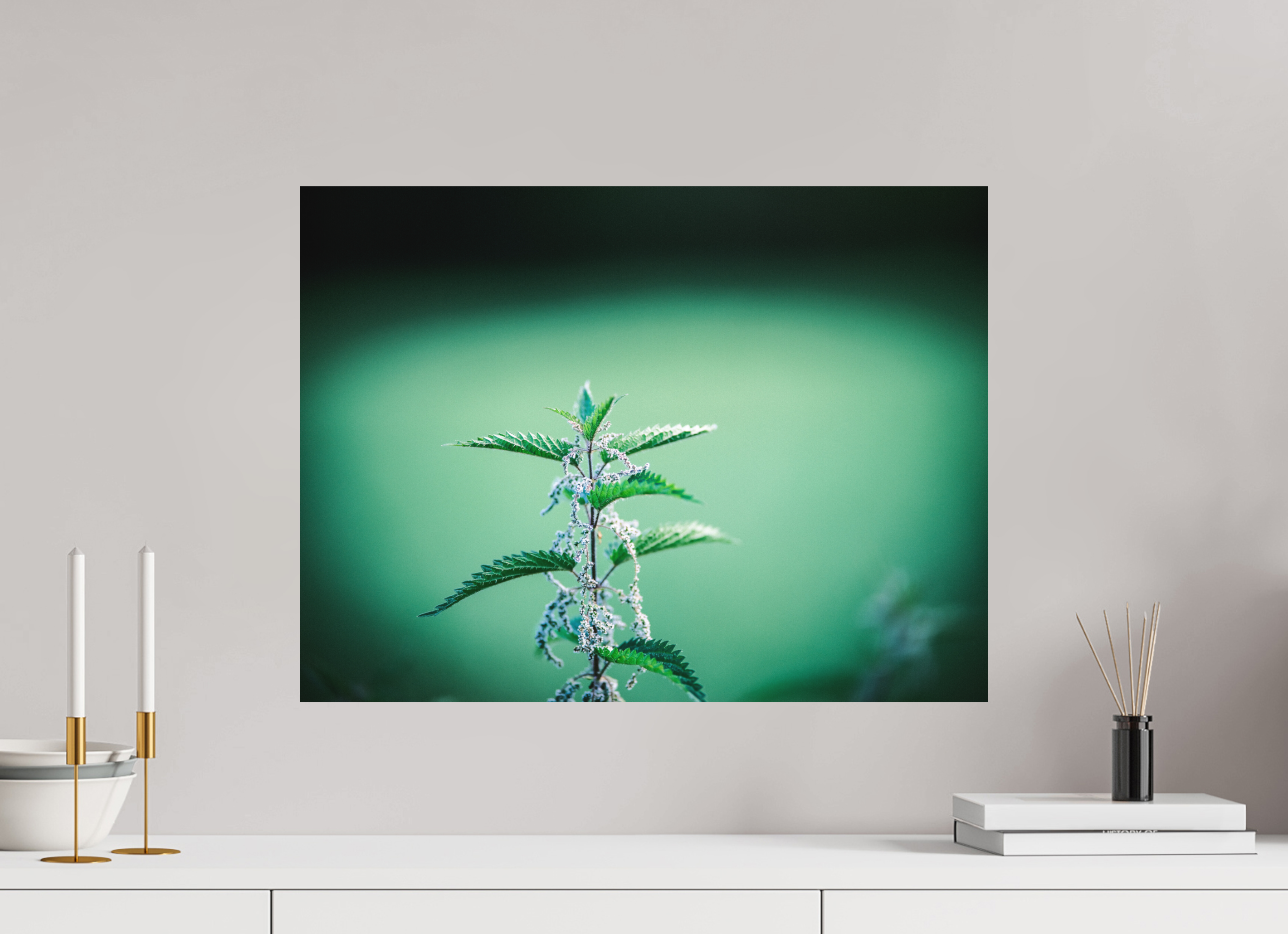 60 x 45 cm, Impression Fine Art sur support rigide - mat Ortie II