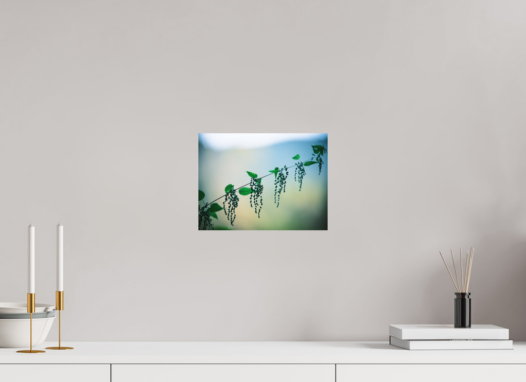 28 x 21 cm, Tirage photo - satiné Ortie