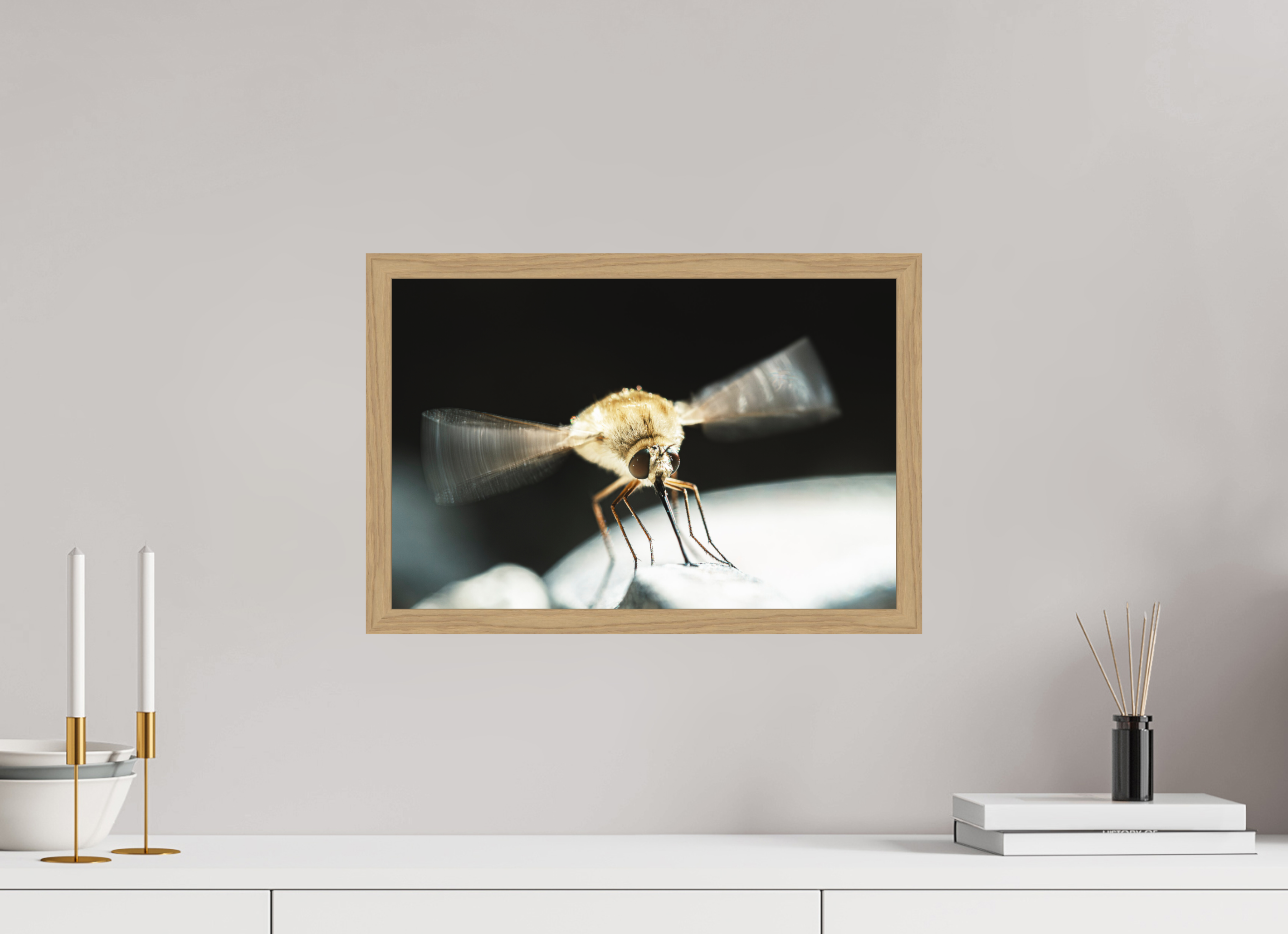 45 x 30 cm, Impression Fine Art encadrée en chêne naturel - mat Bombylius
