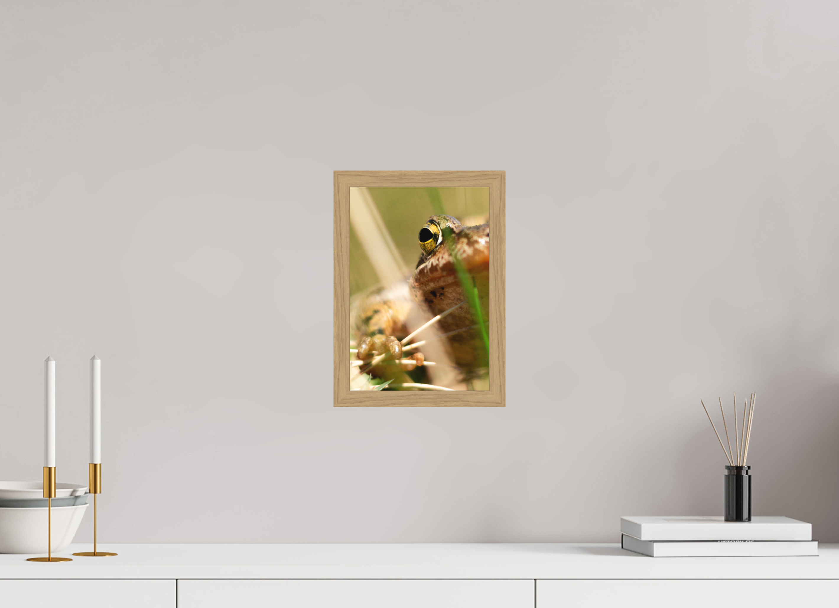 20 x 28,5 cm, Impression Fine Art encadrée en chêne naturel - mat Grenouille Rousse