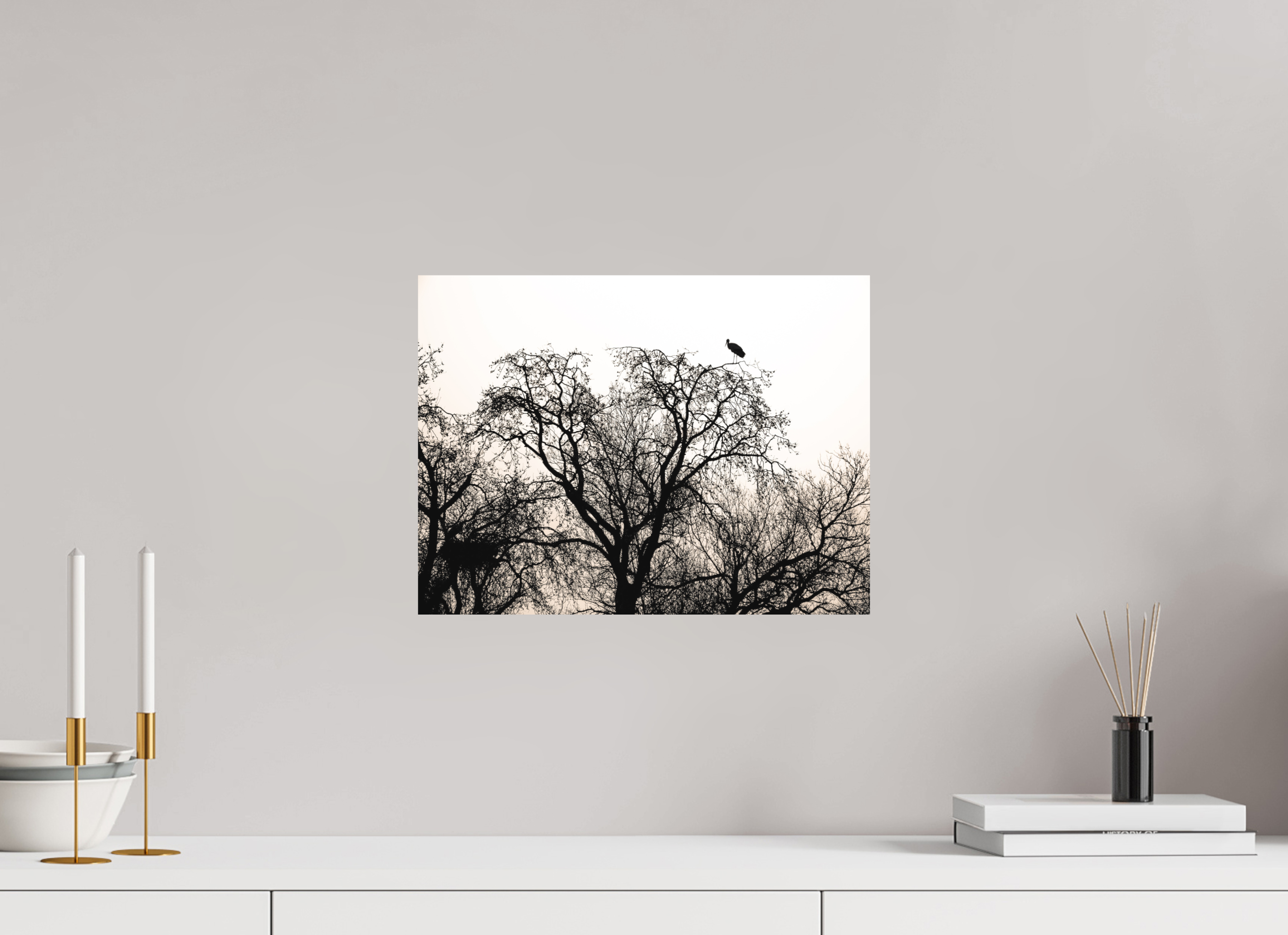 40 x 30 cm, Tirage photo - satiné grues VI