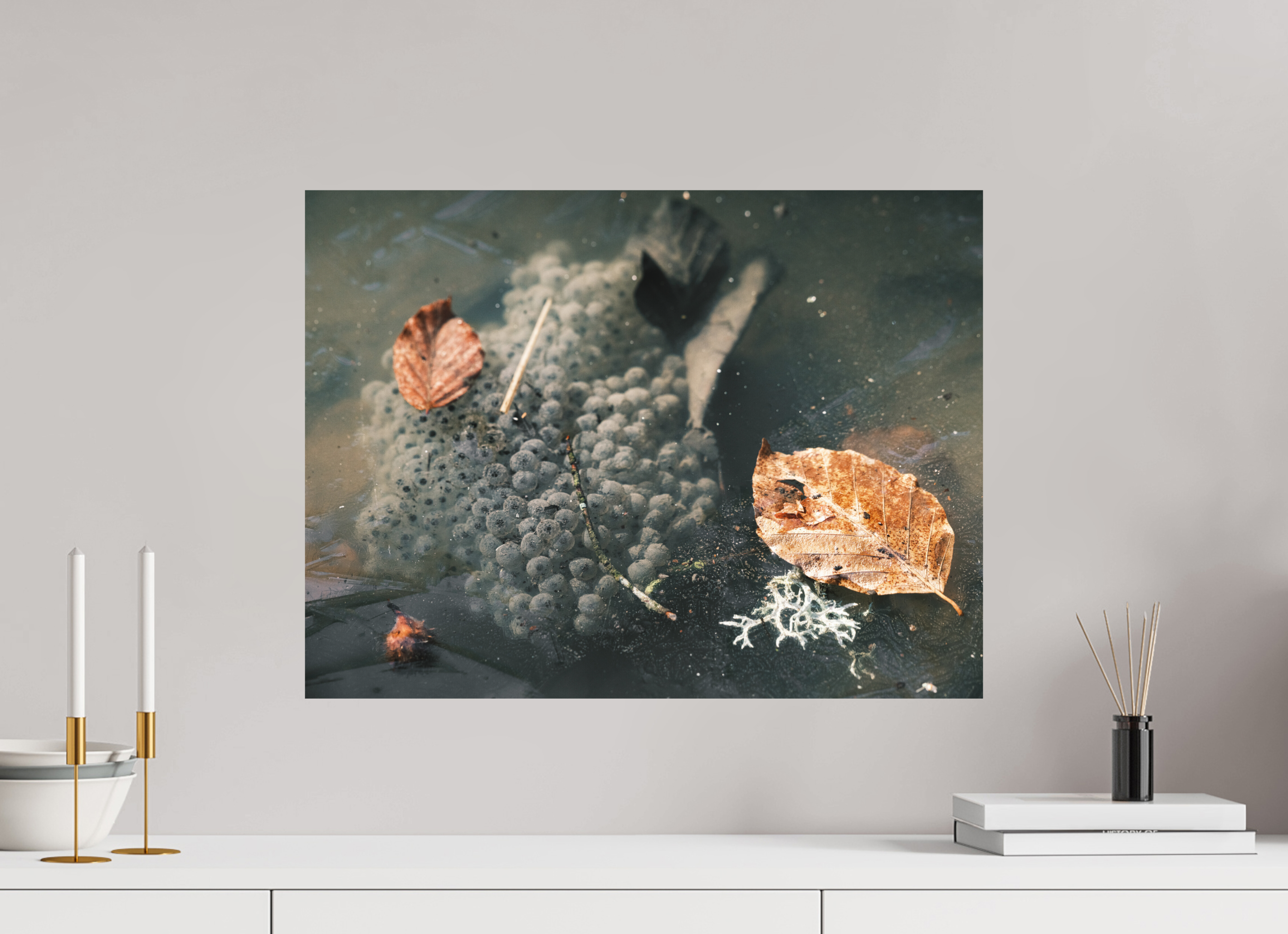 60 x 45 cm, Tirage photo - satiné Oeufs