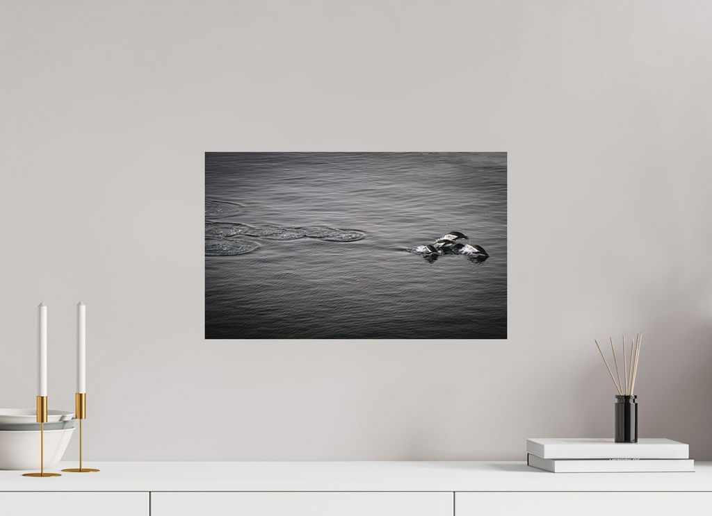 48,4 x 30 cm, Tirage photo - satiné Liberté synchronisée